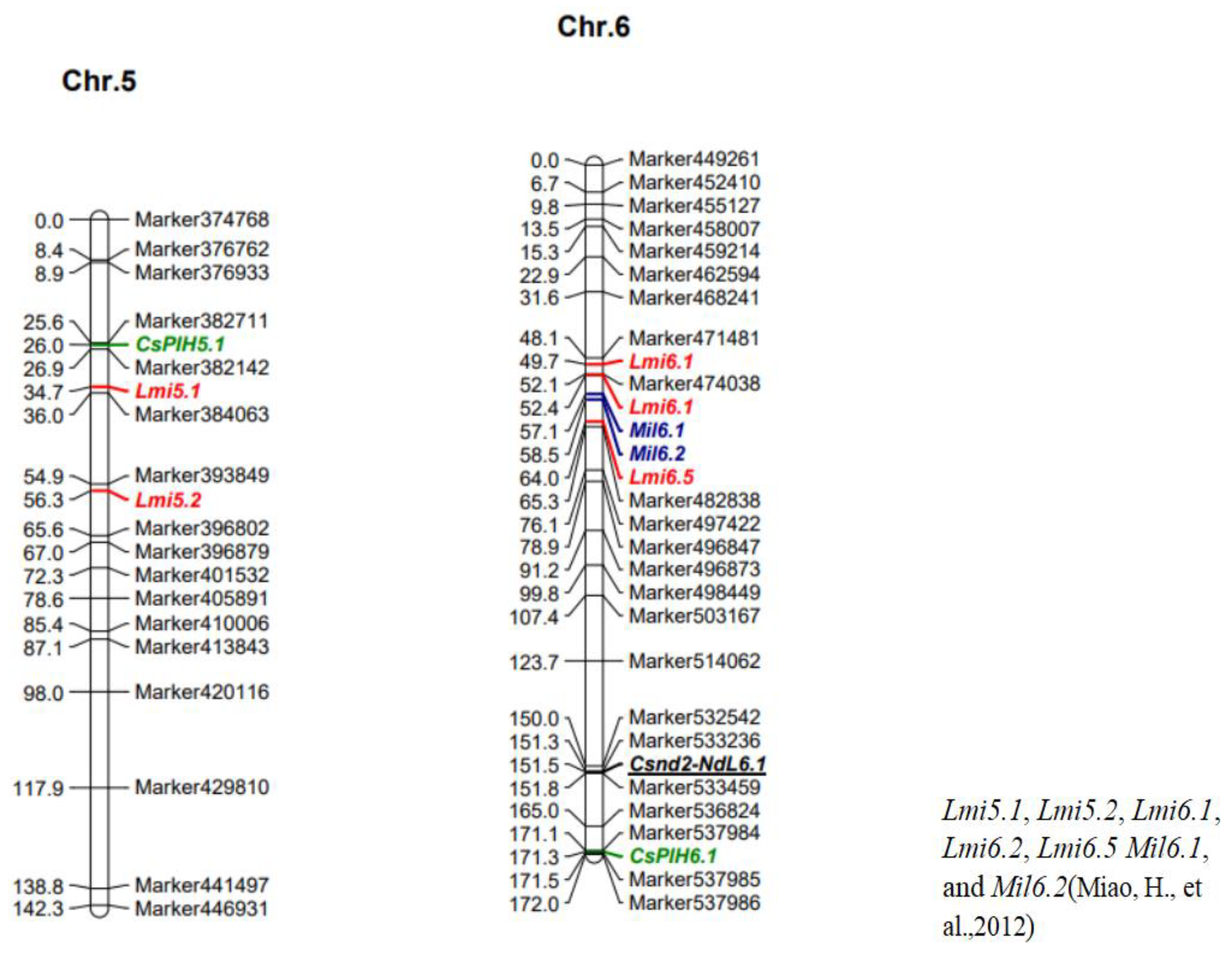 Agronomy 14 01061 g006