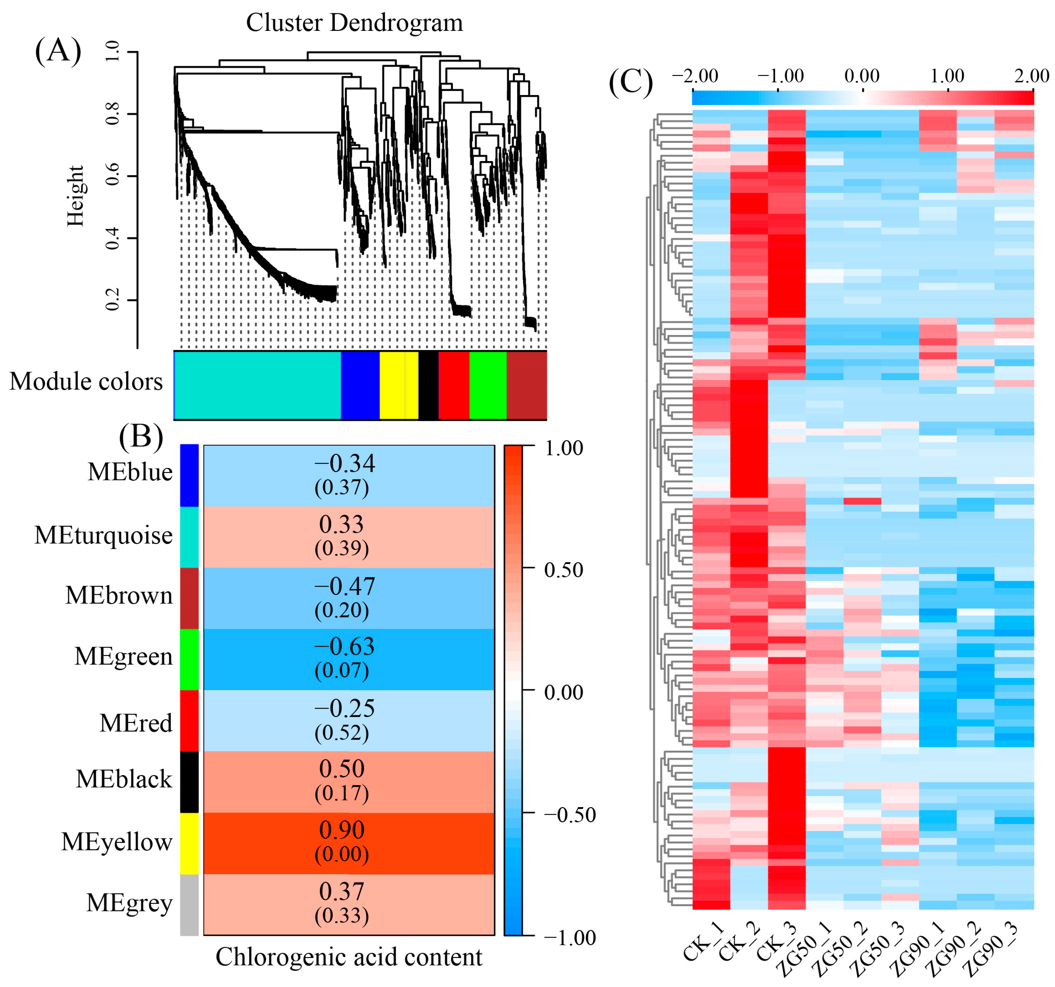 Agronomy 14 01063 g004 Agronomy 14 01063 g004