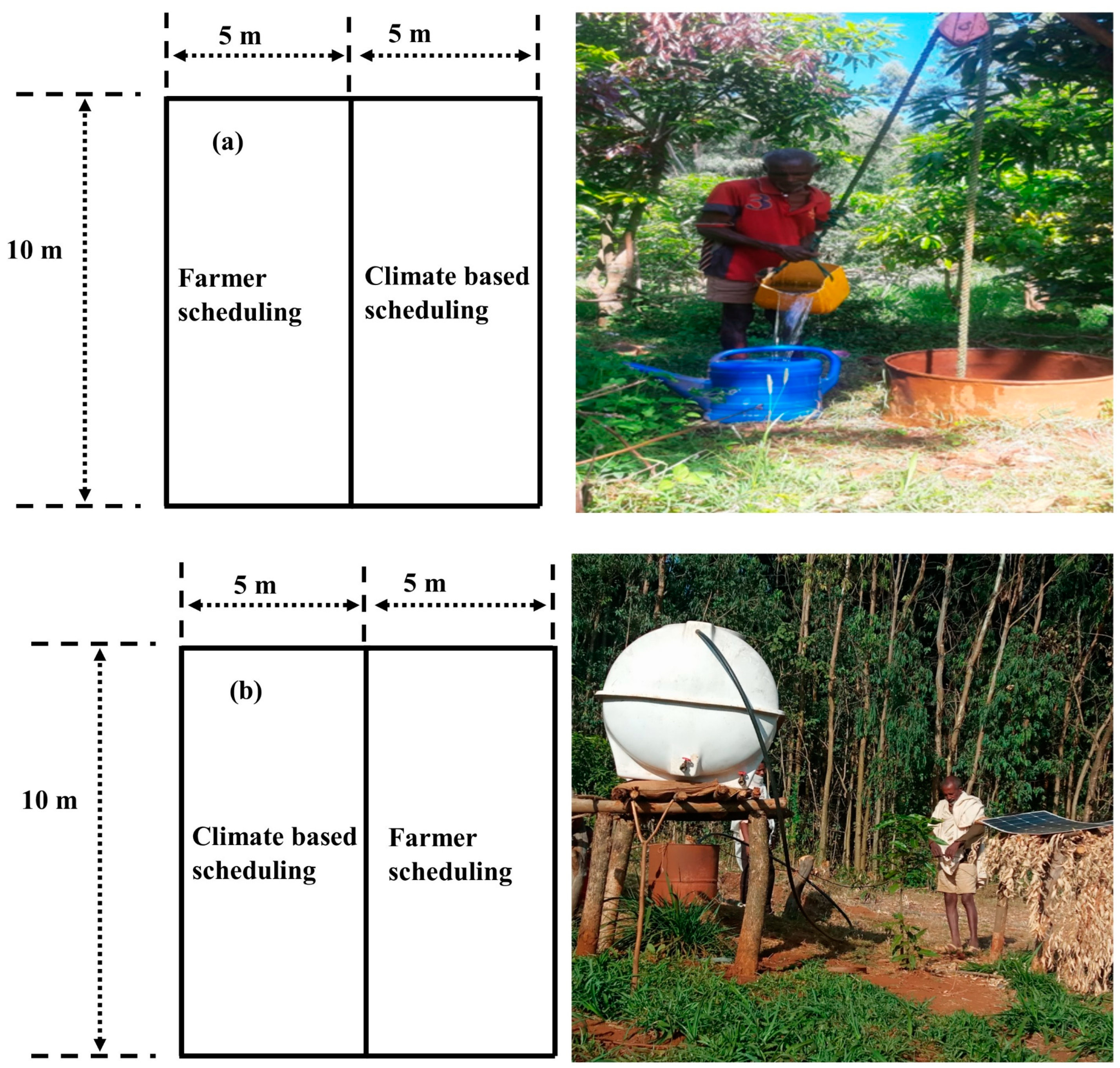 Agronomy 14 01064 g002