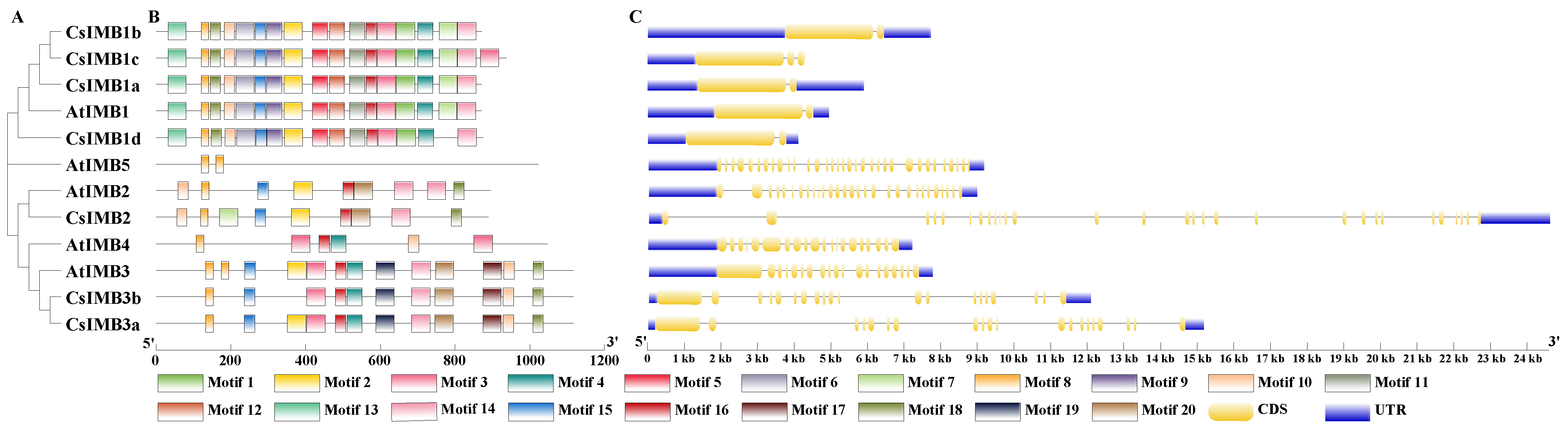Agronomy 14 01073 g001