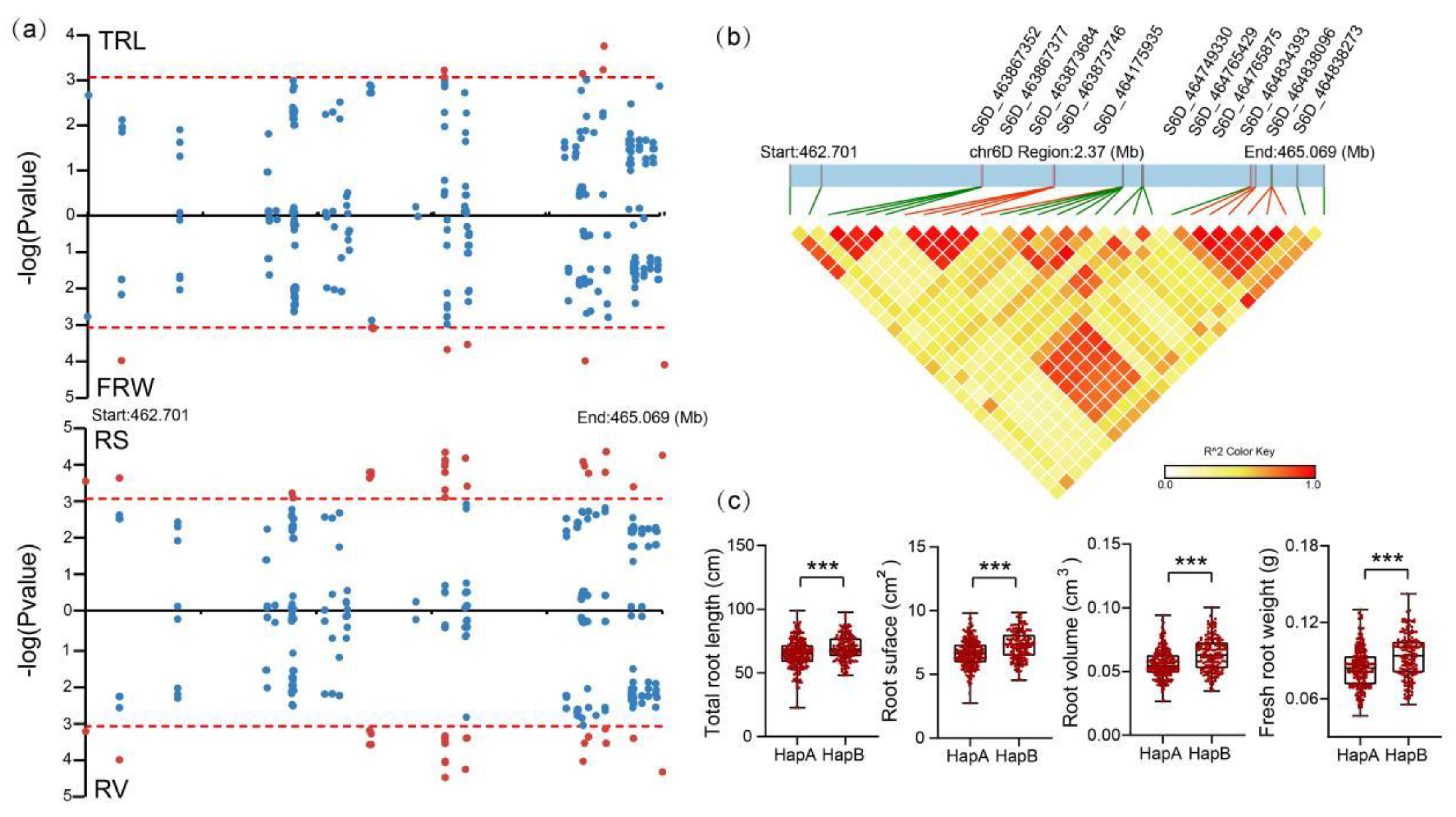 Agronomy 14 01075 g001
