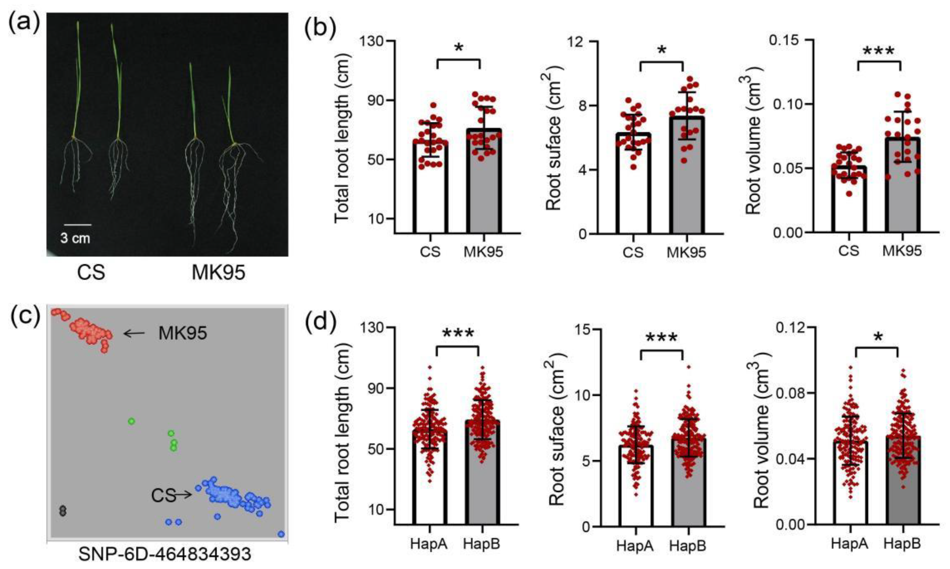 Agronomy 14 01075 g002