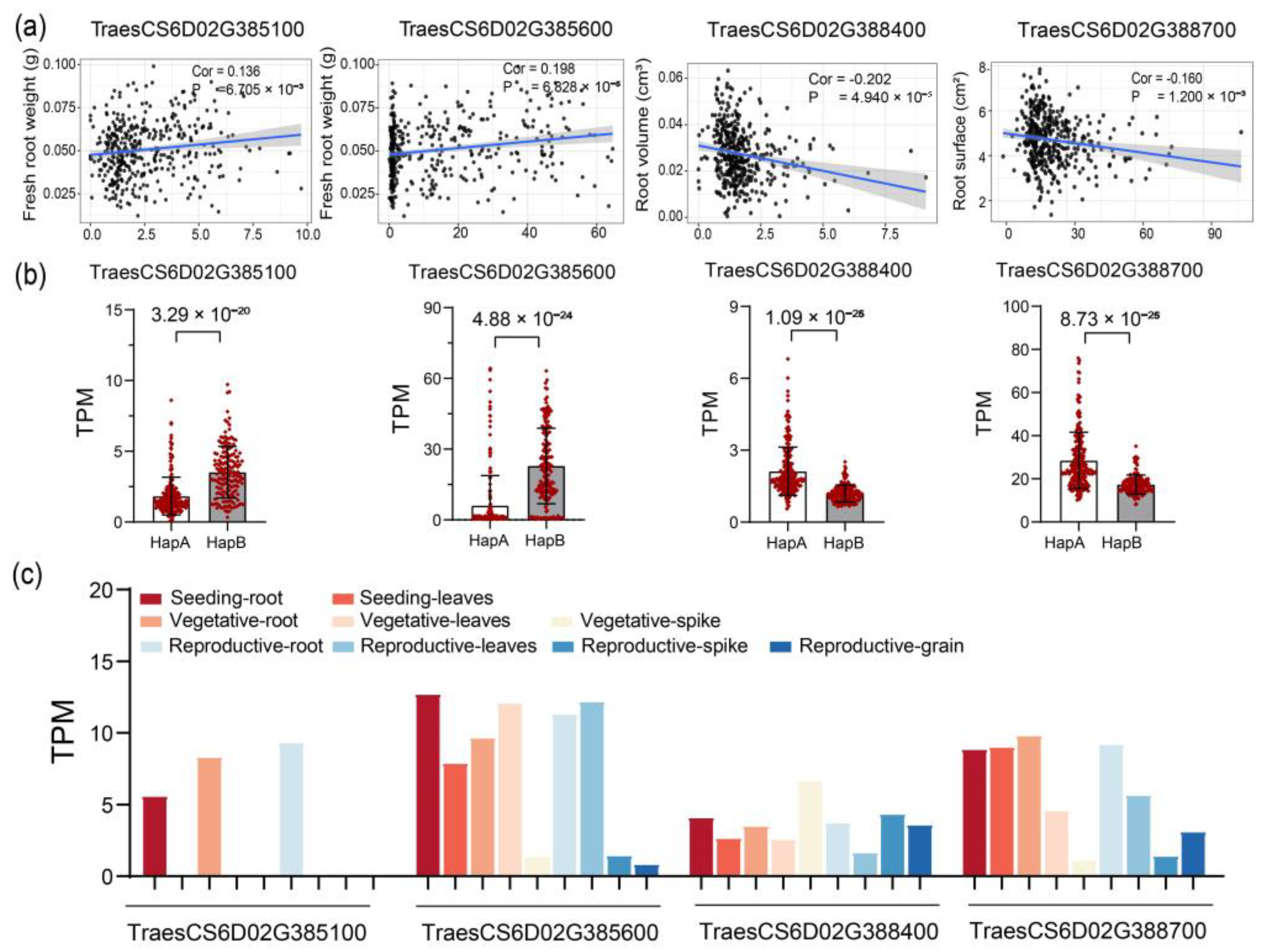 Agronomy 14 01075 g003