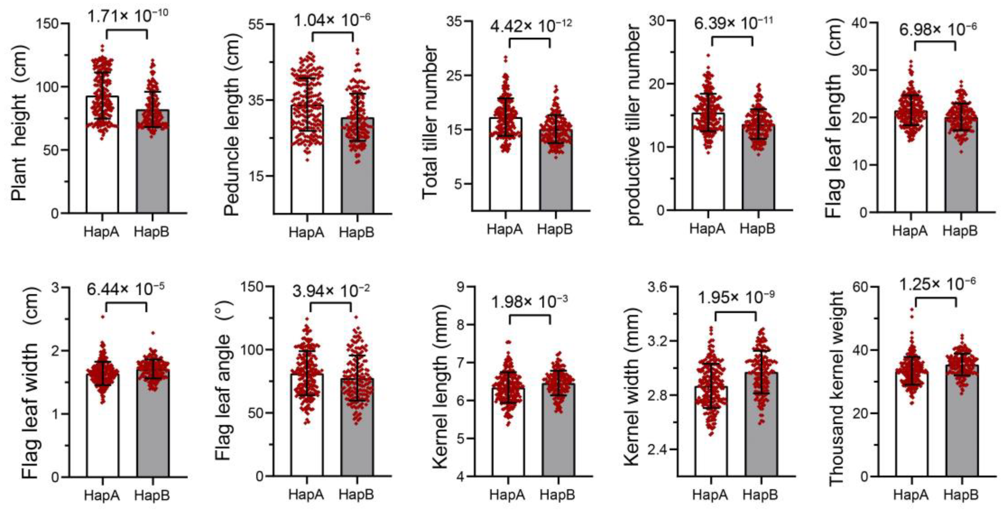 Agronomy 14 01075 g005