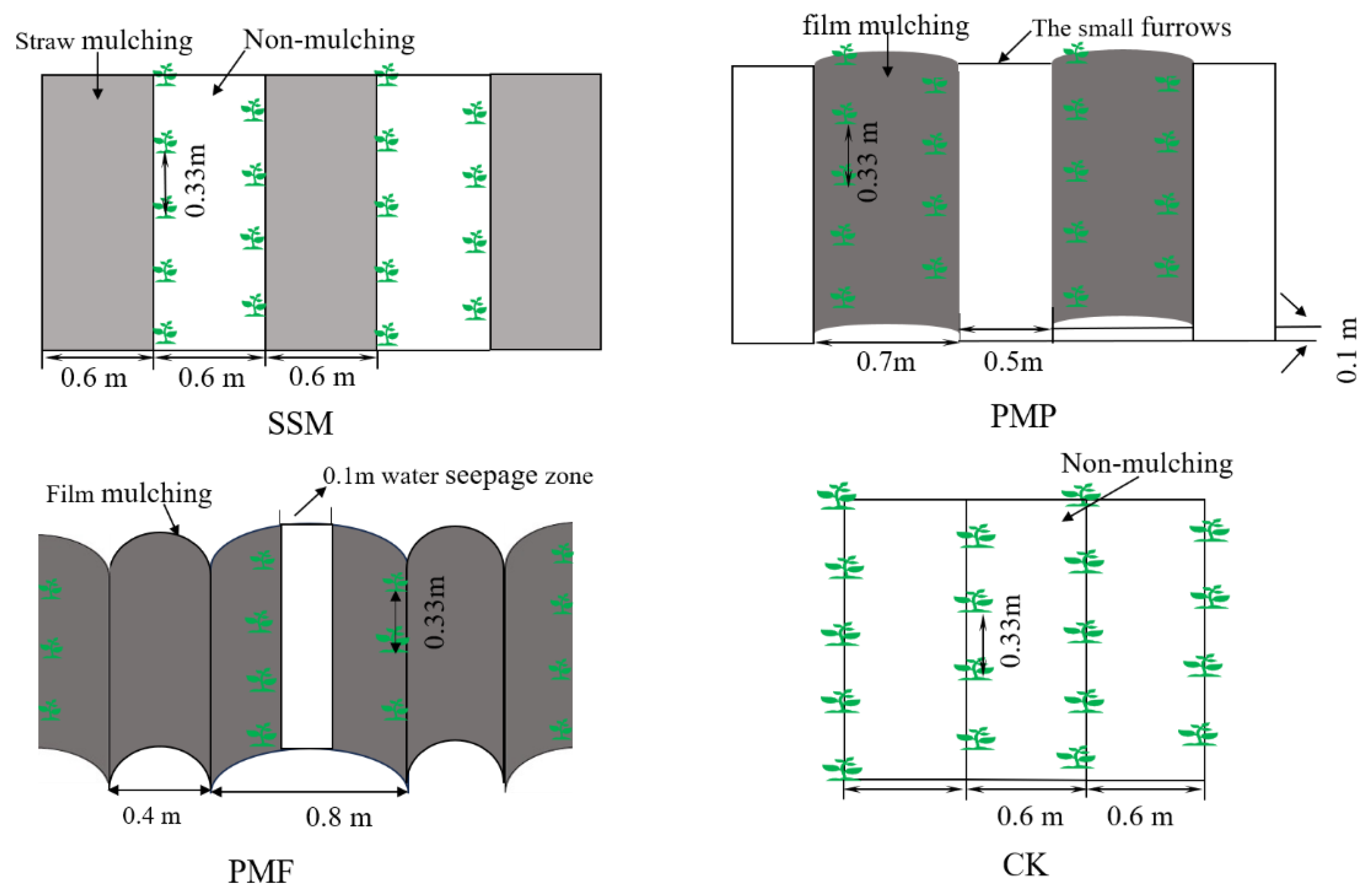 Agronomy 14 01077 g002