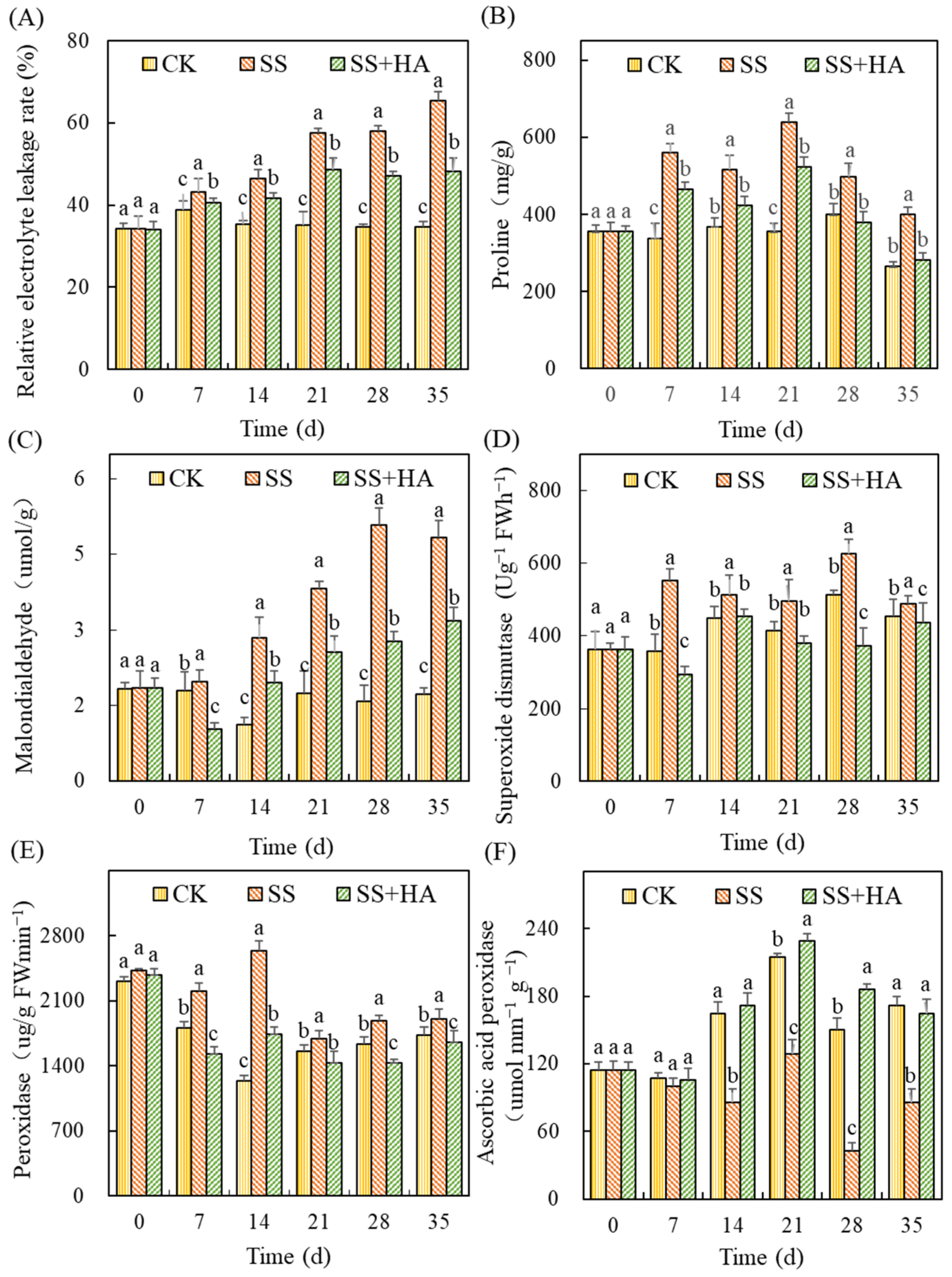 Agronomy 14 01079 g003
