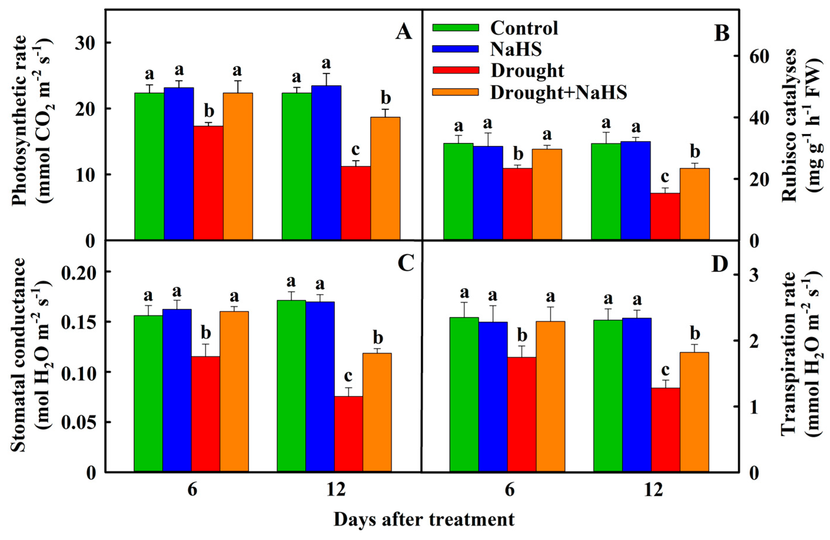 Agronomy 14 01080 g002