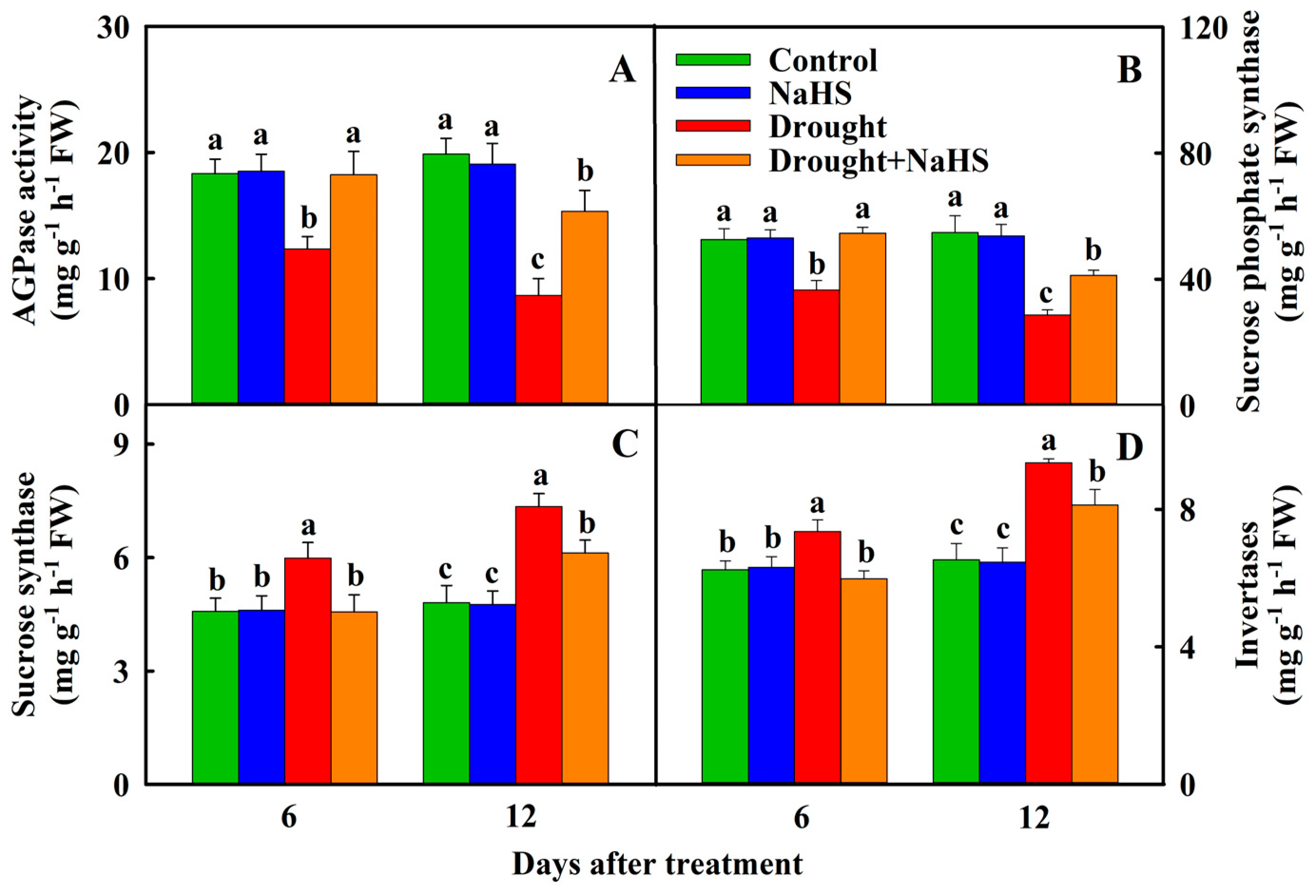 Agronomy 14 01080 g004