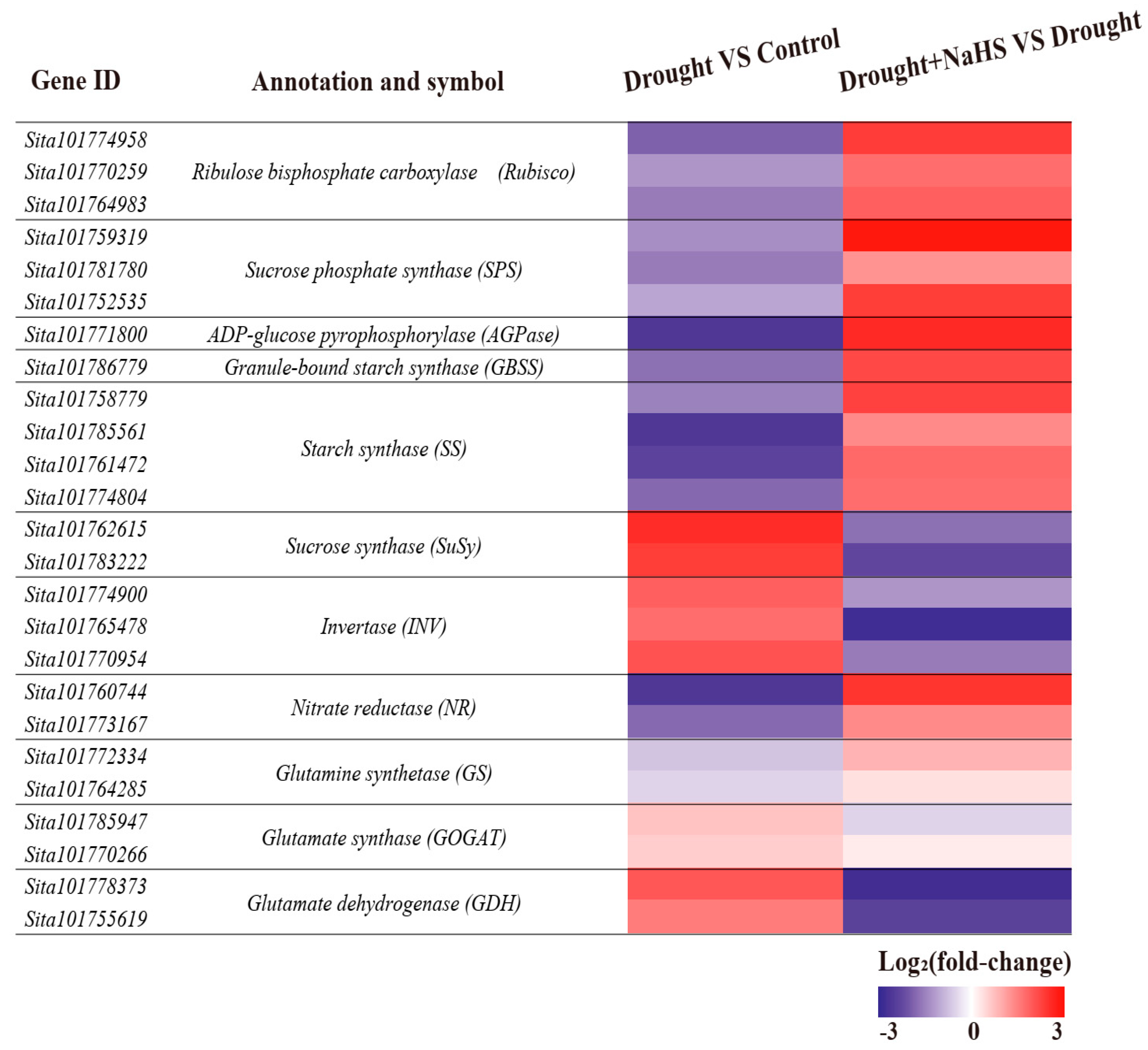 Agronomy 14 01080 g008