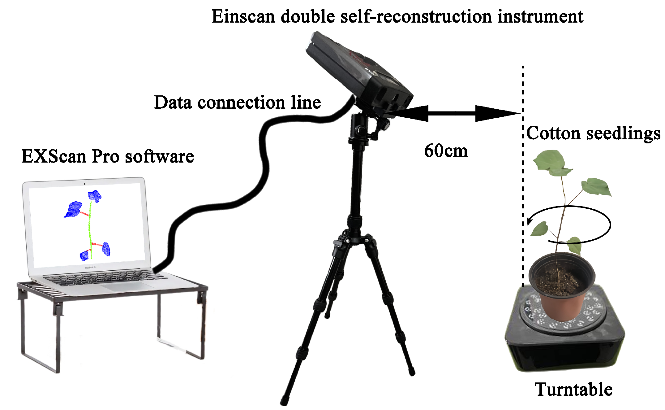 Agronomy 14 01083 g001