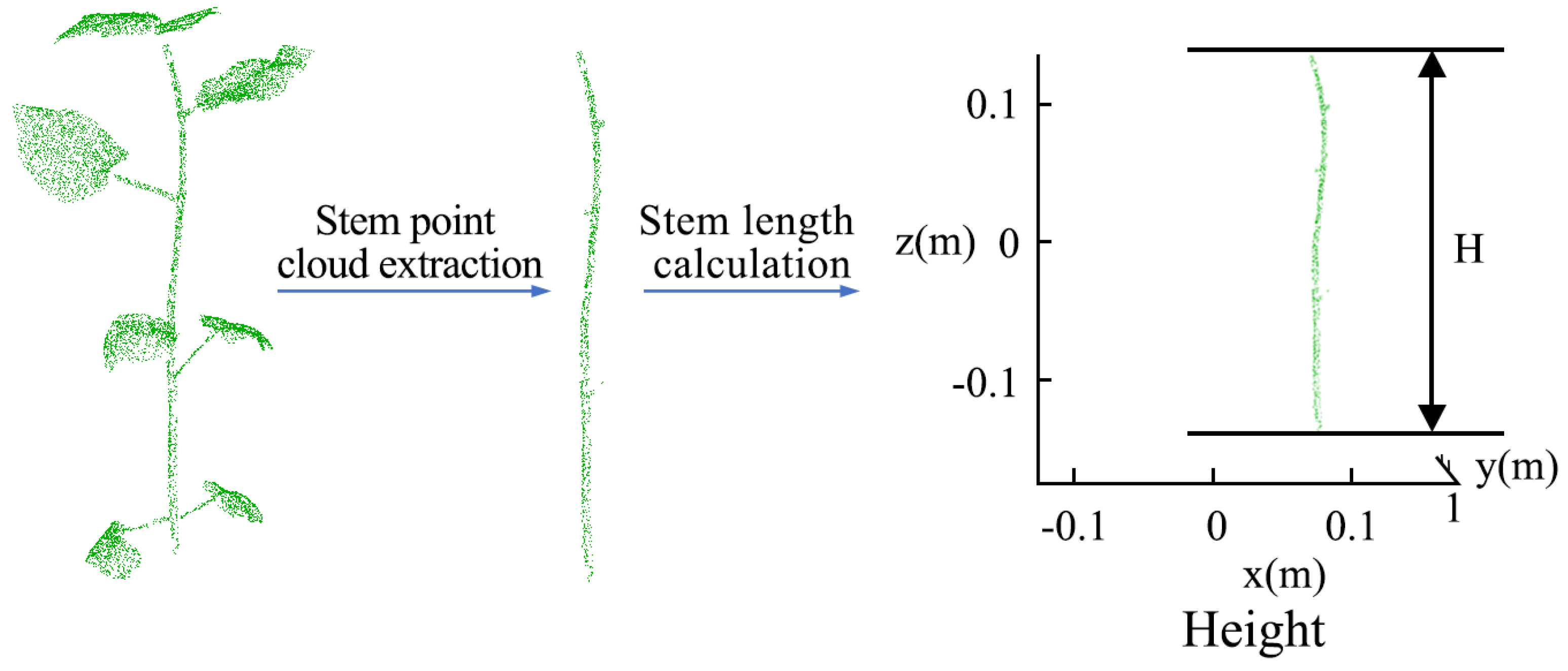 Agronomy 14 01083 g006