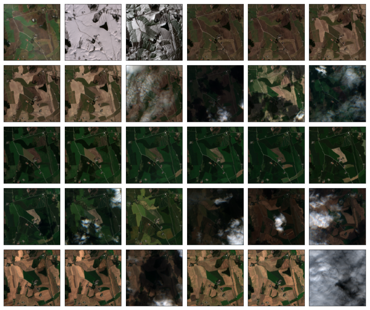 Agronomy 14 01089 g003