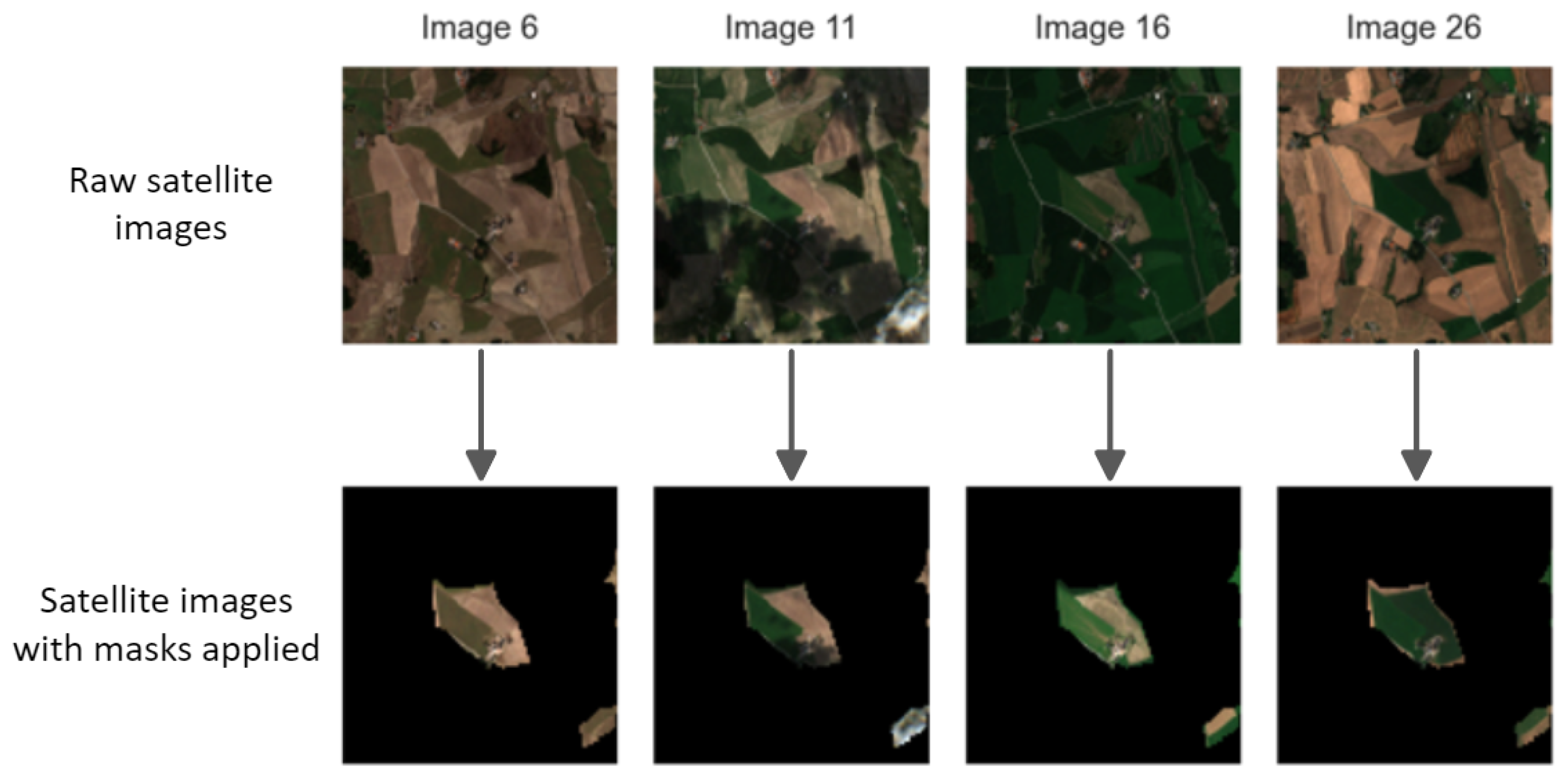 Agronomy 14 01089 g004