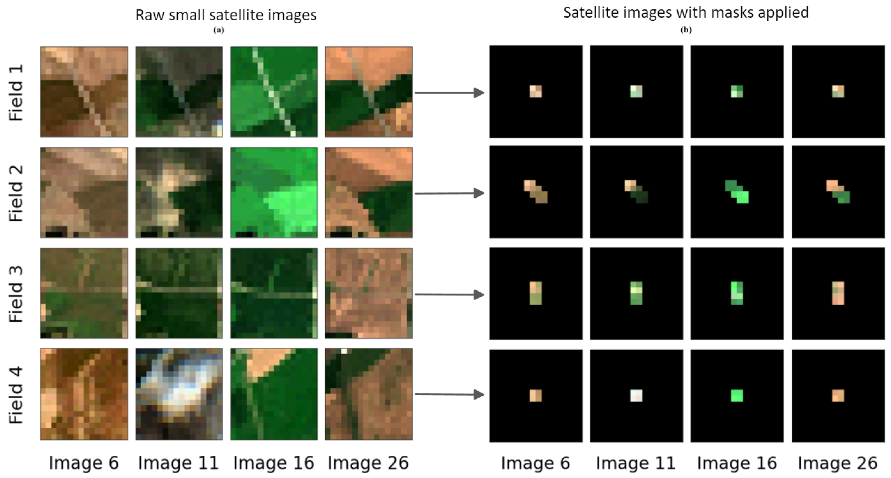 Agronomy 14 01089 g005