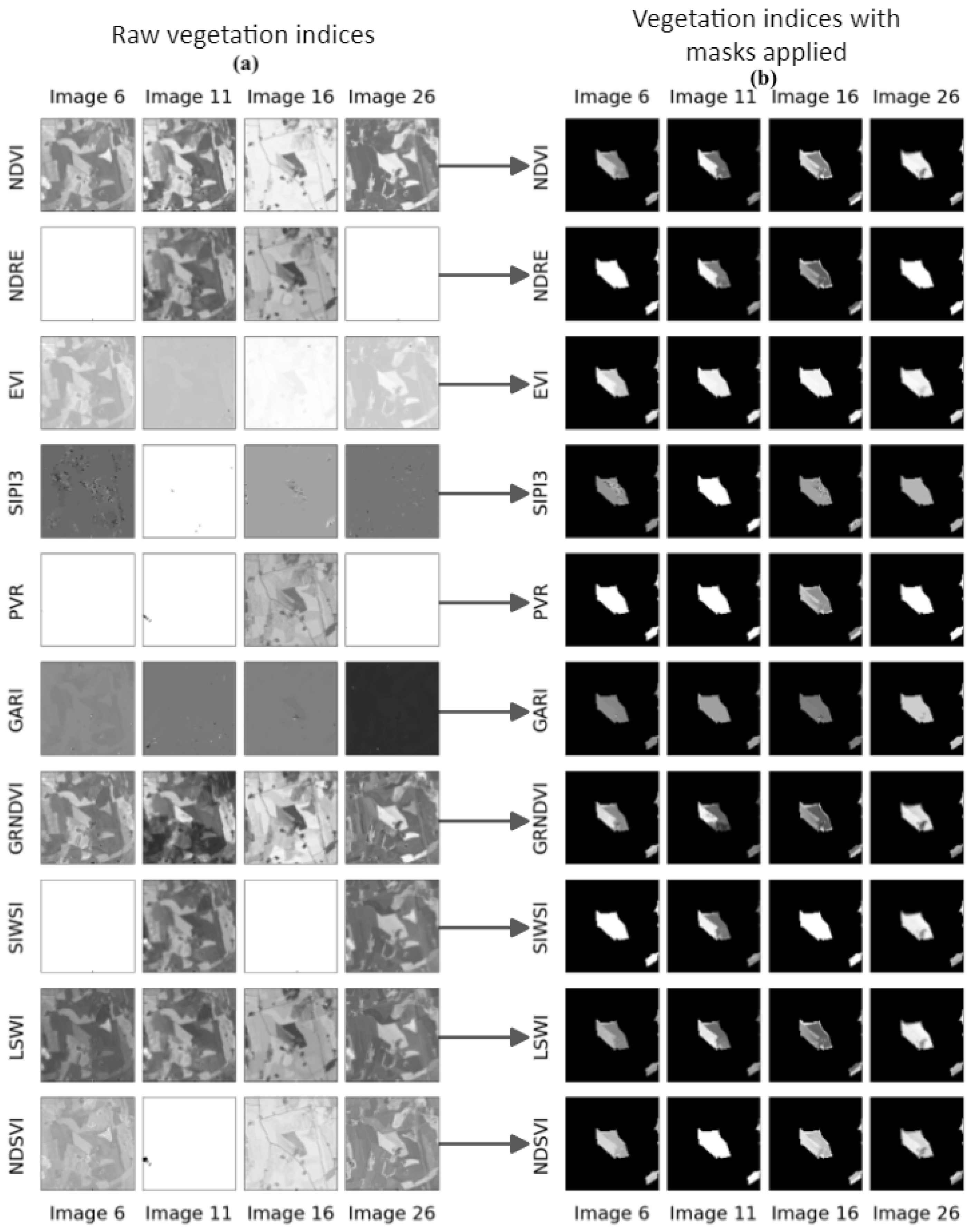 Agronomy 14 01089 g006