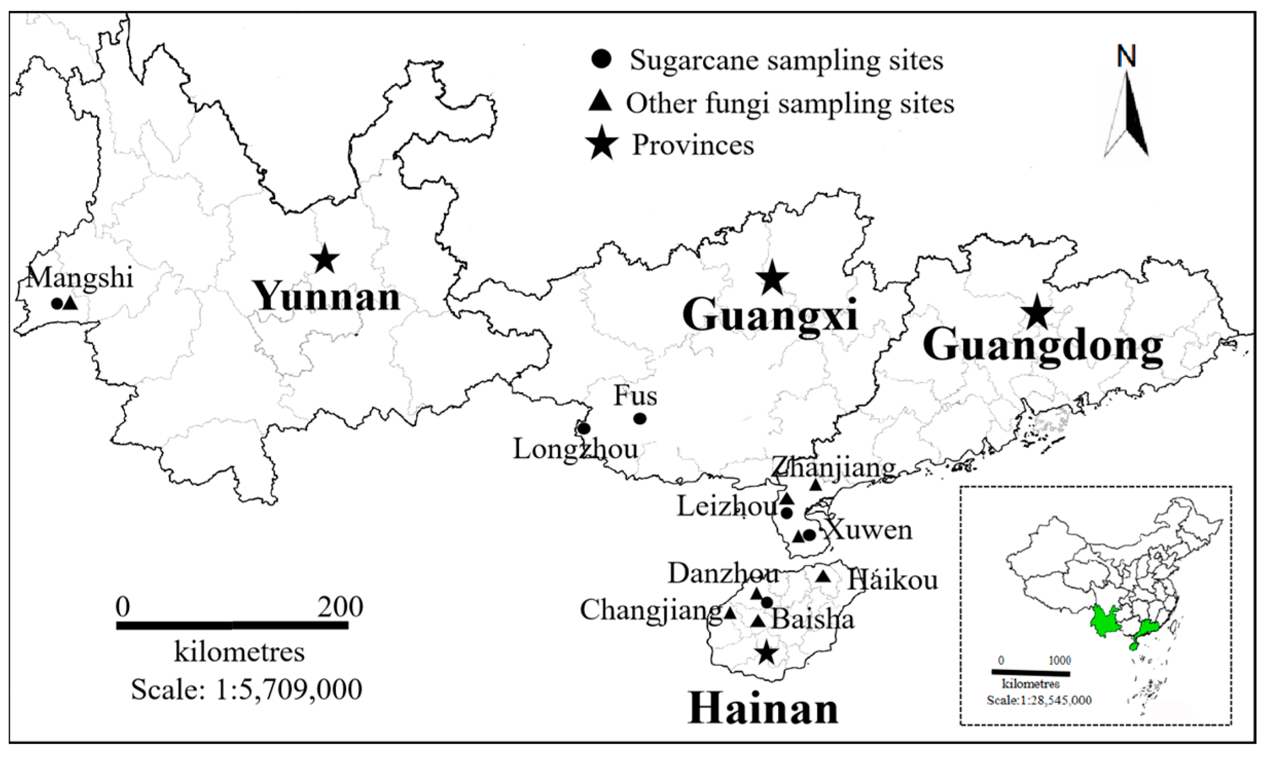 Agronomy 14 01096 g001