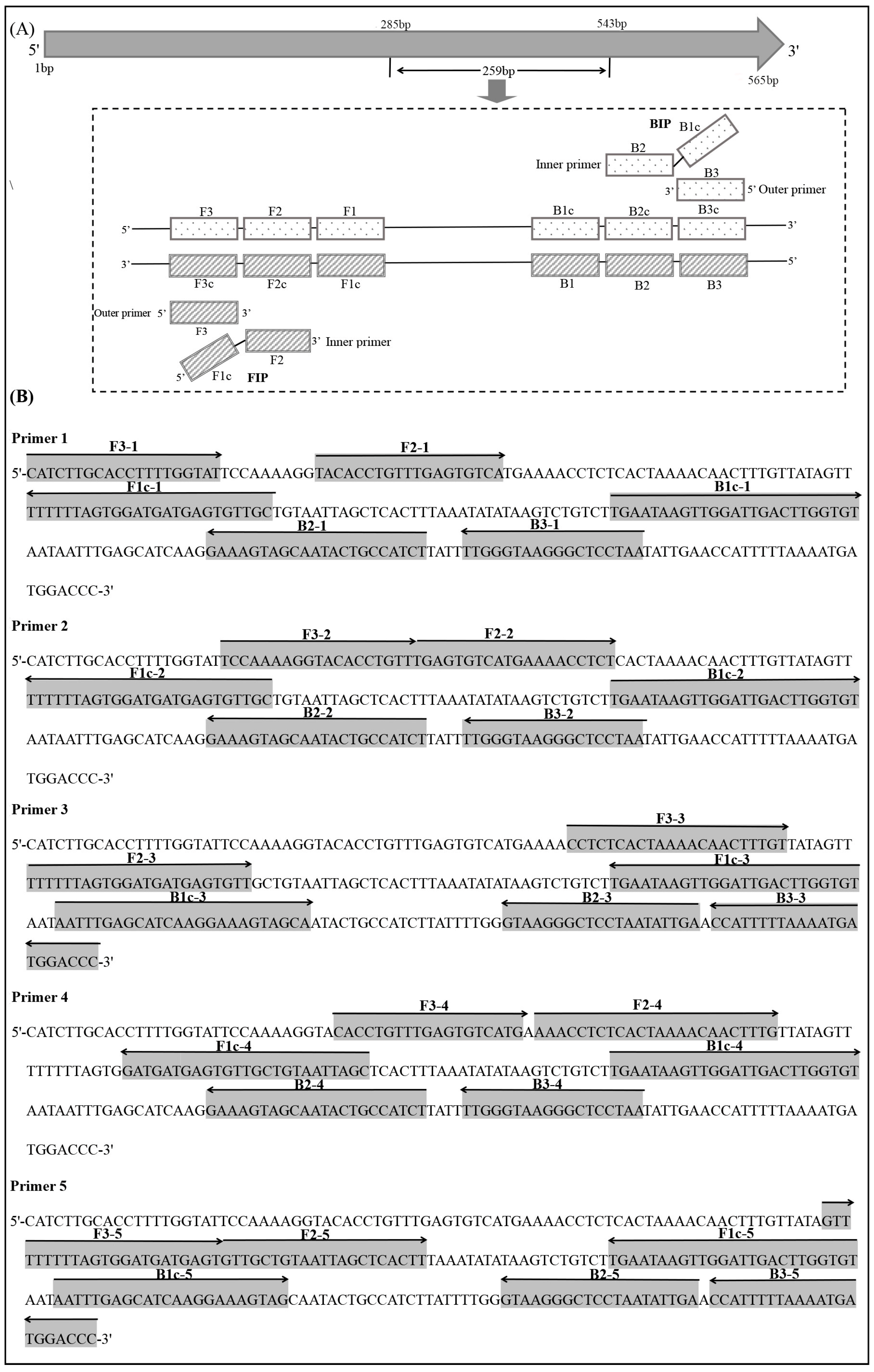 Agronomy 14 01096 g003
