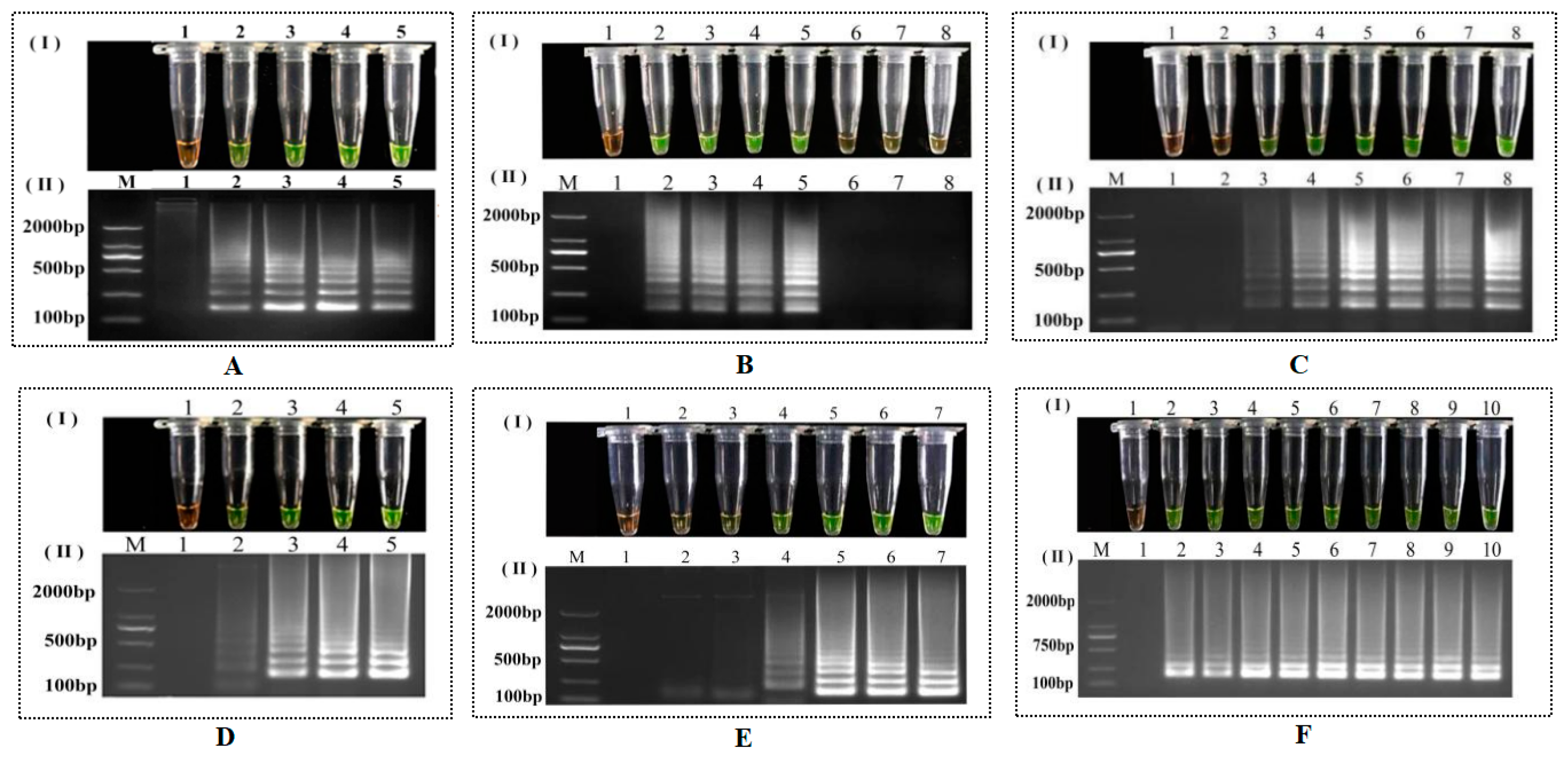 Agronomy 14 01096 g005