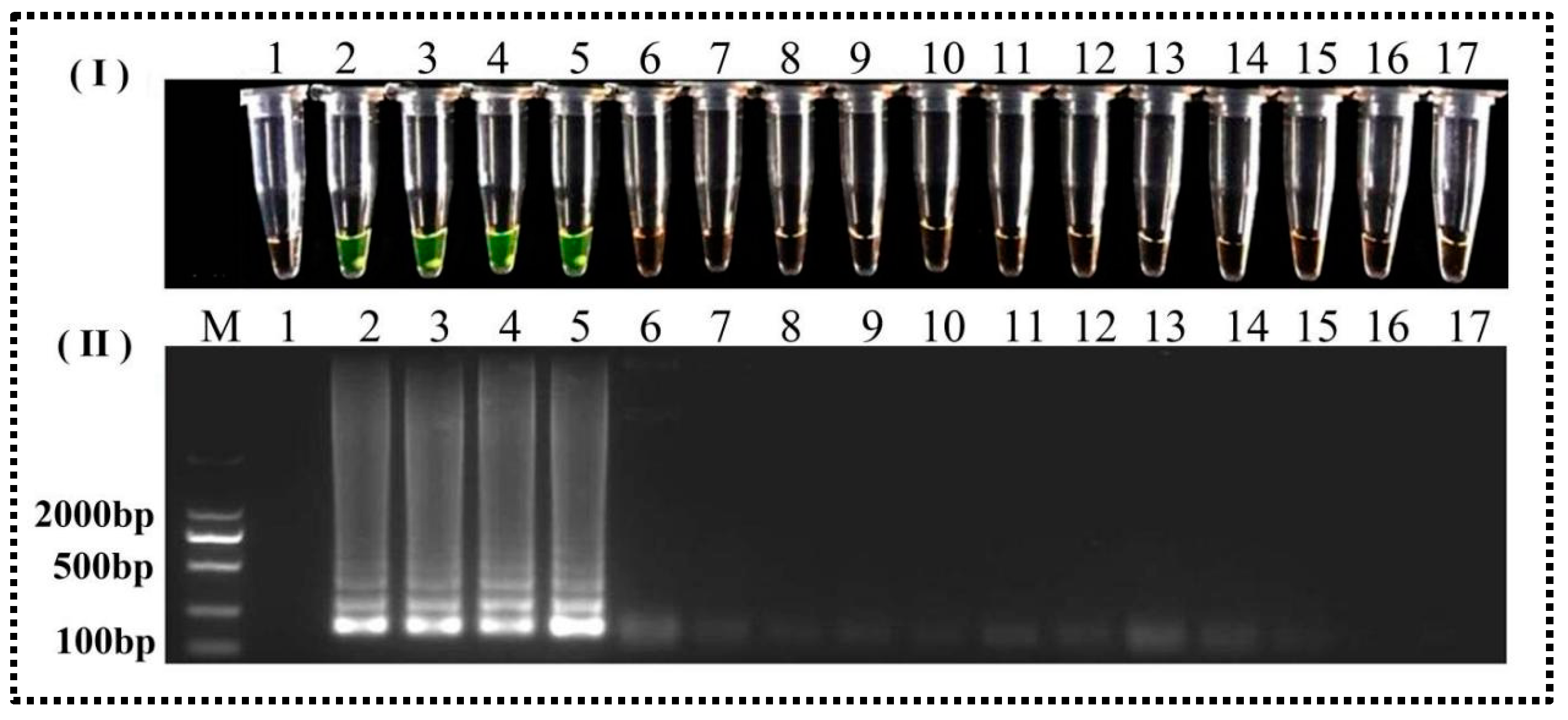 Agronomy 14 01096 g006