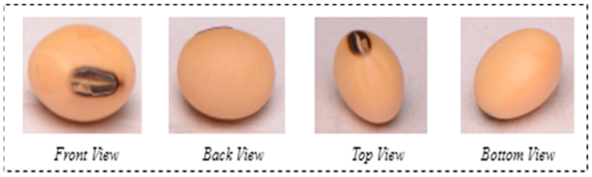 Agronomy 14 01098 g001