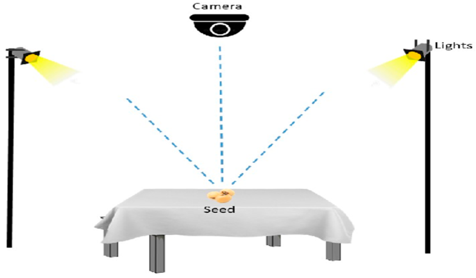 Agronomy 14 01098 g003