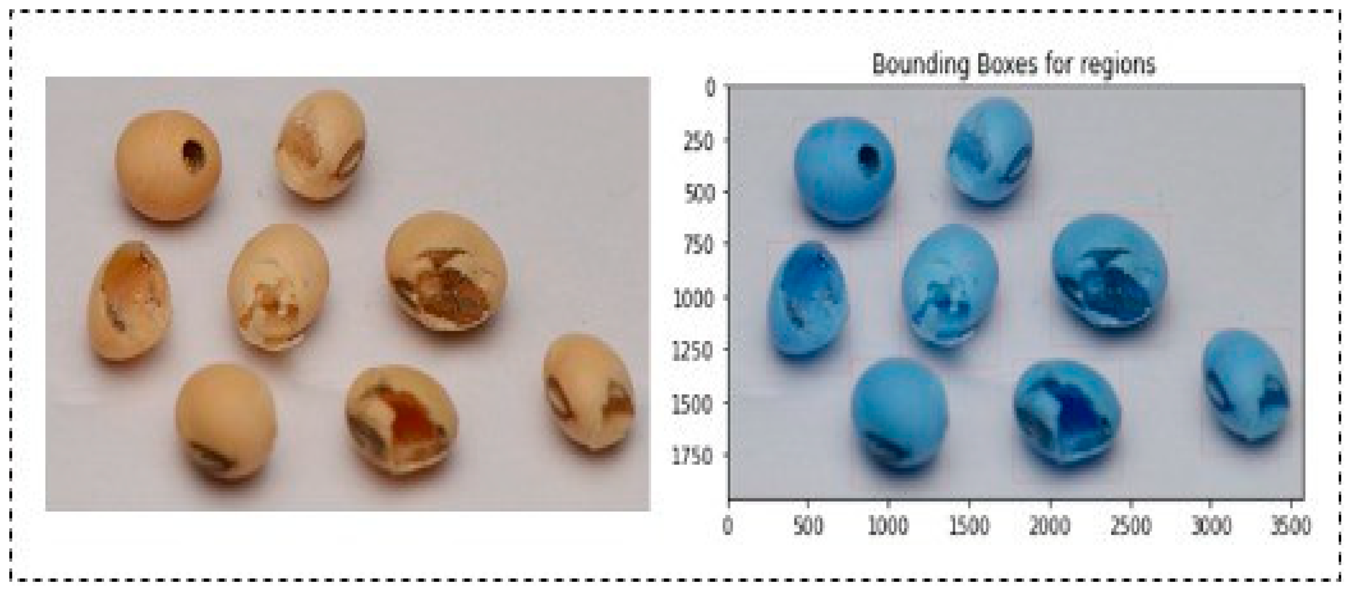 Agronomy 14 01098 g006