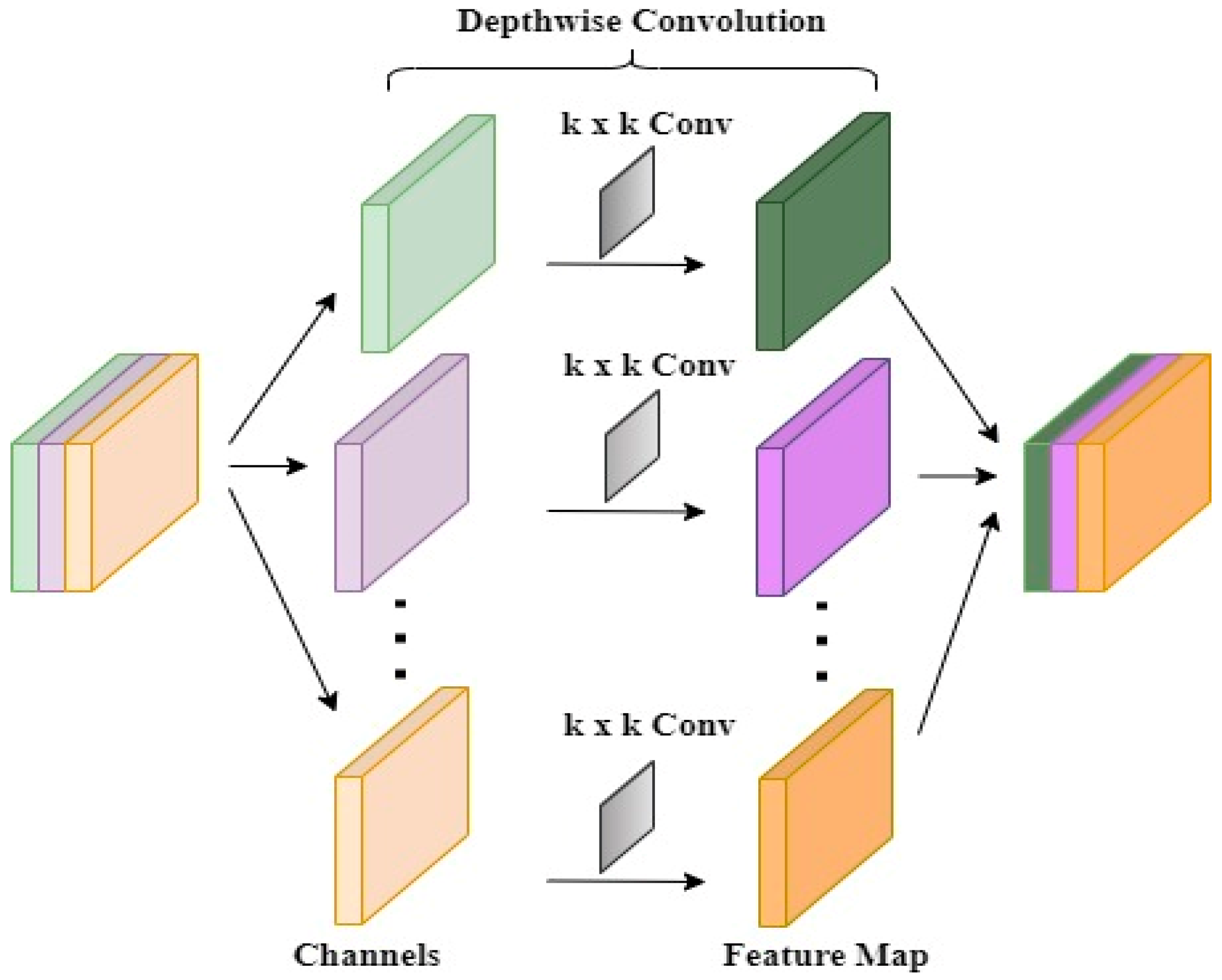 Agronomy 14 01098 g008
