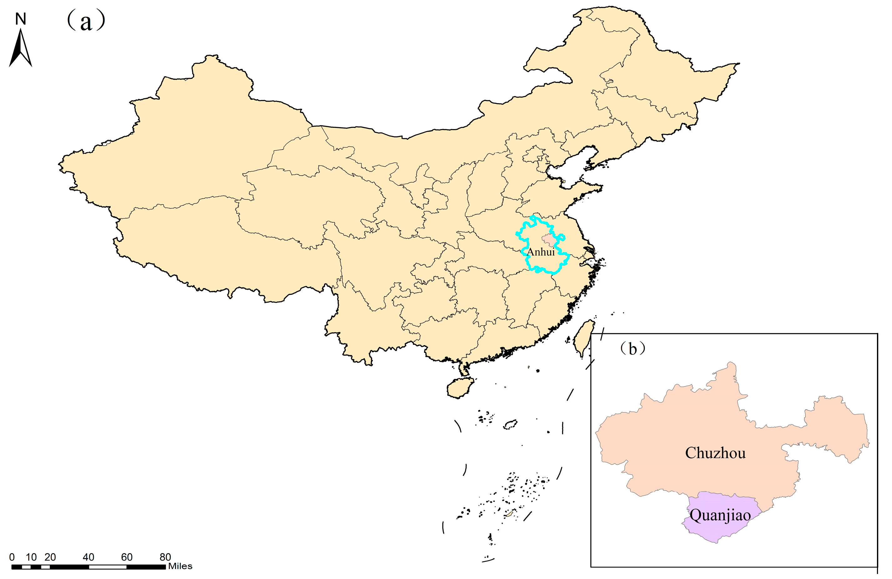 Agronomy 14 01101 g001