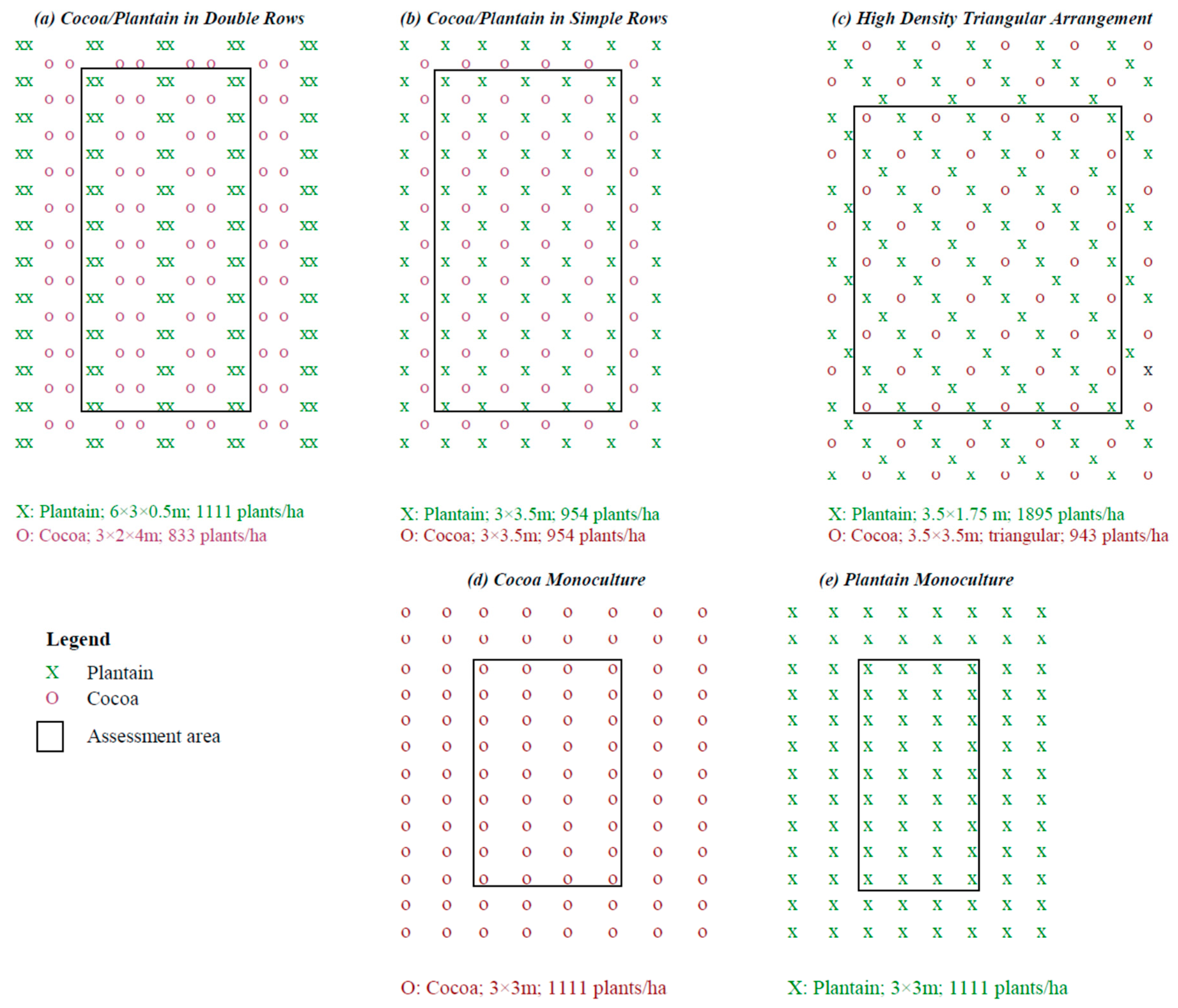 Agronomy 14 01107 g001