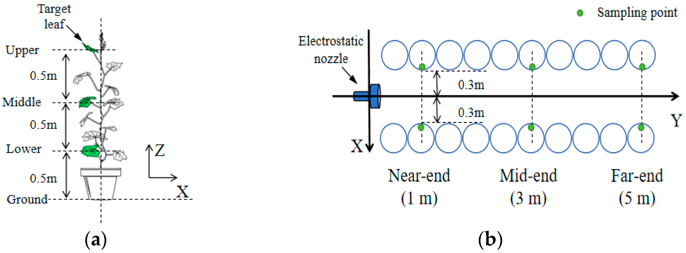 Agronomy 14 01108 g004