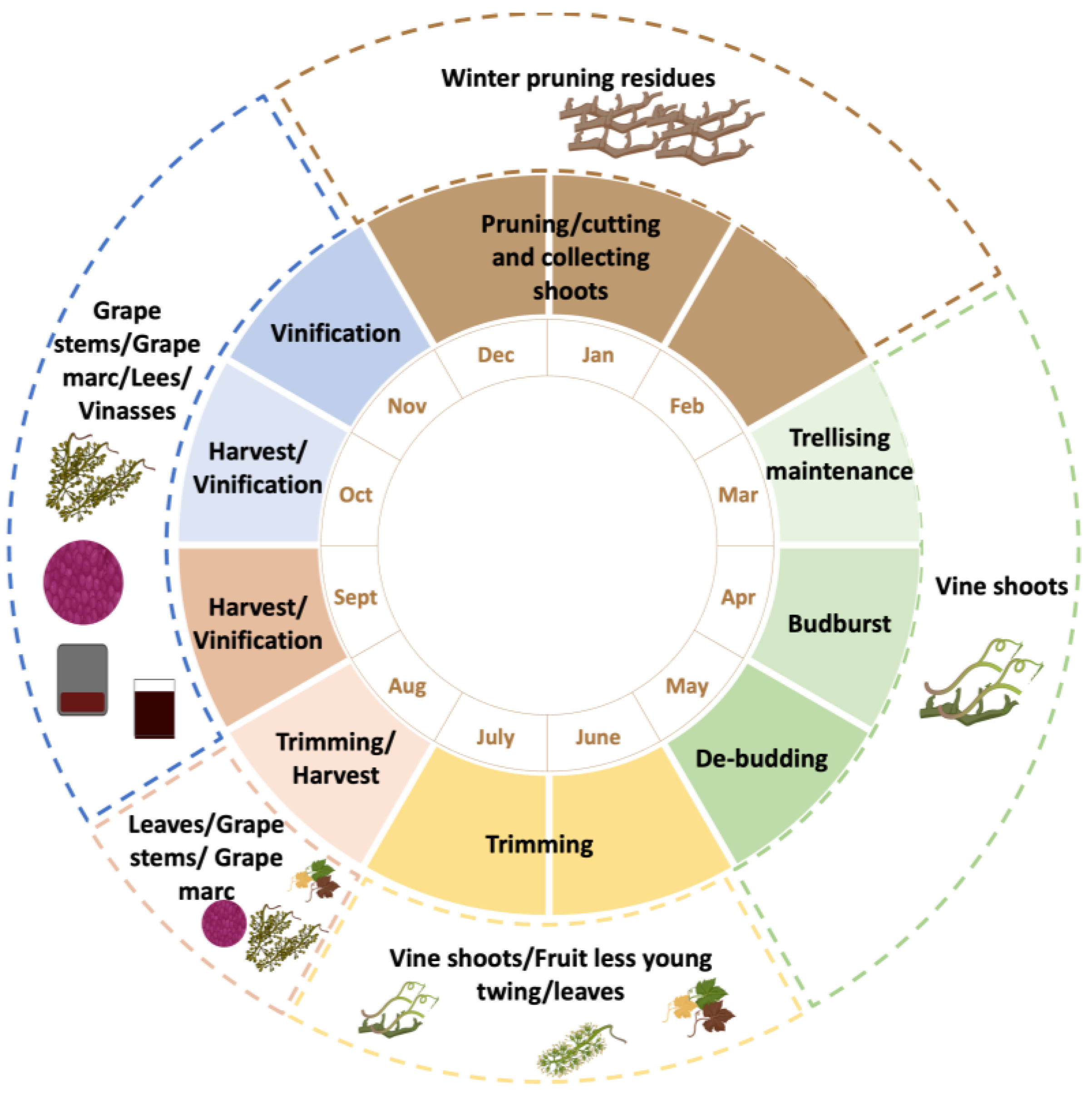Agronomy 14 01111 g001