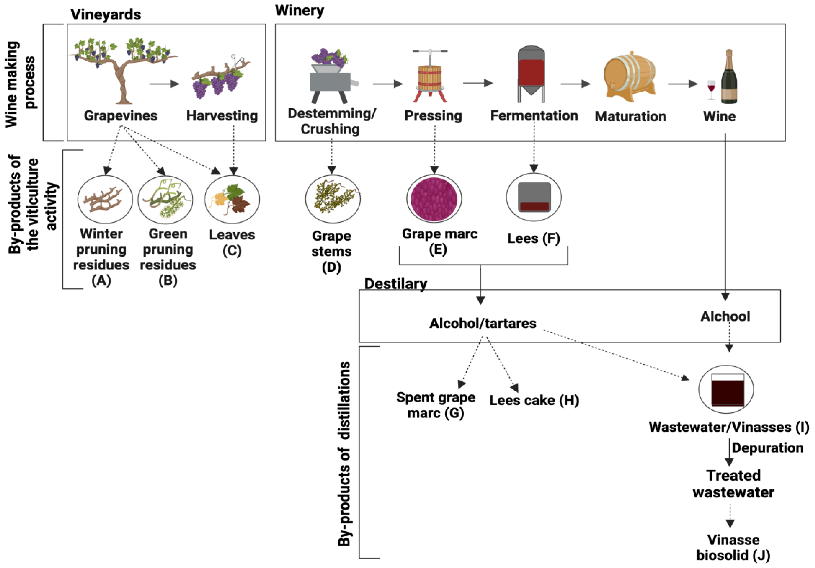 Agronomy 14 01111 g002