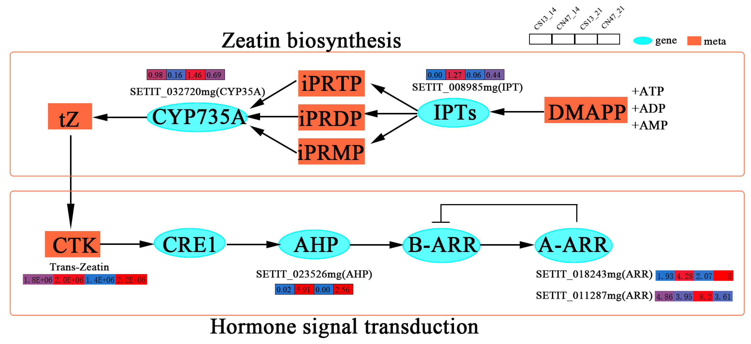 Agronomy 14 01114 g007