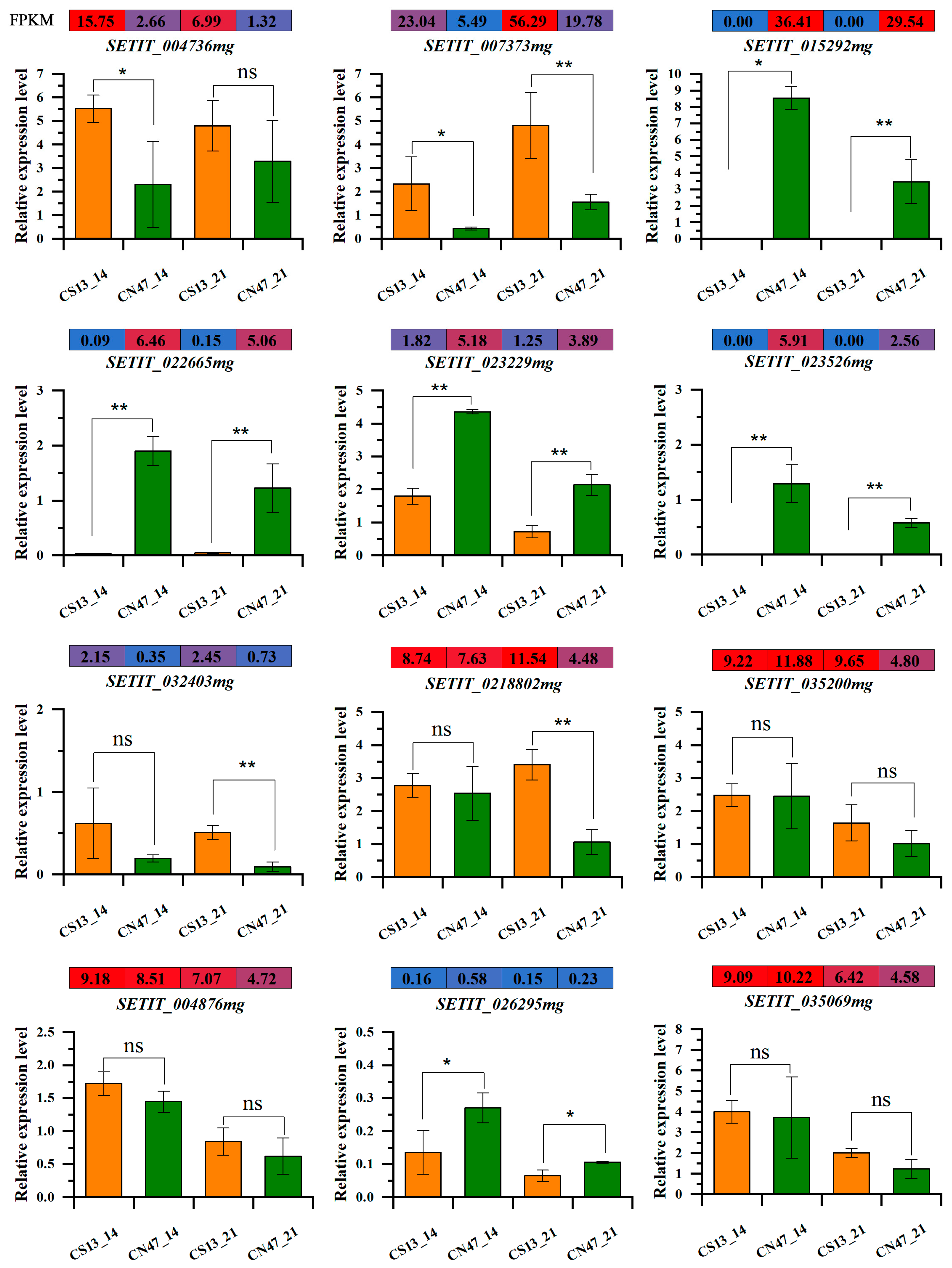 Agronomy 14 01114 g008