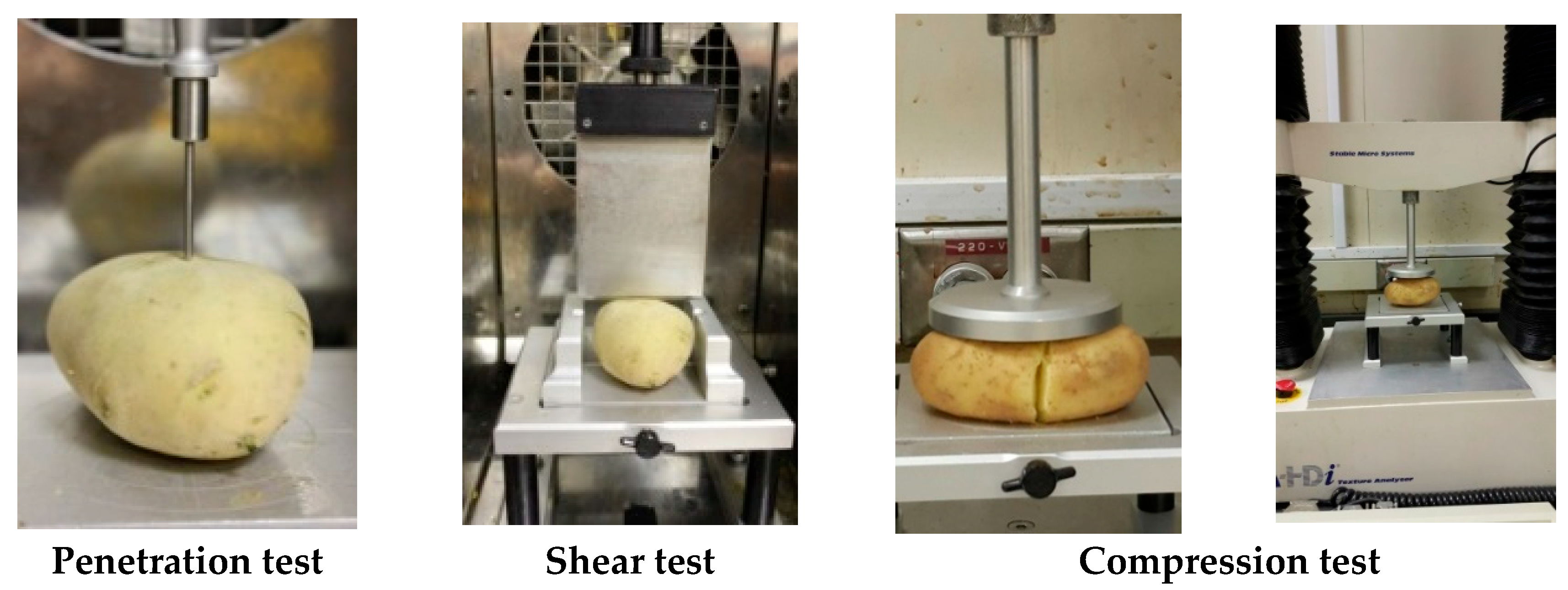 Agronomy 14 01116 g001