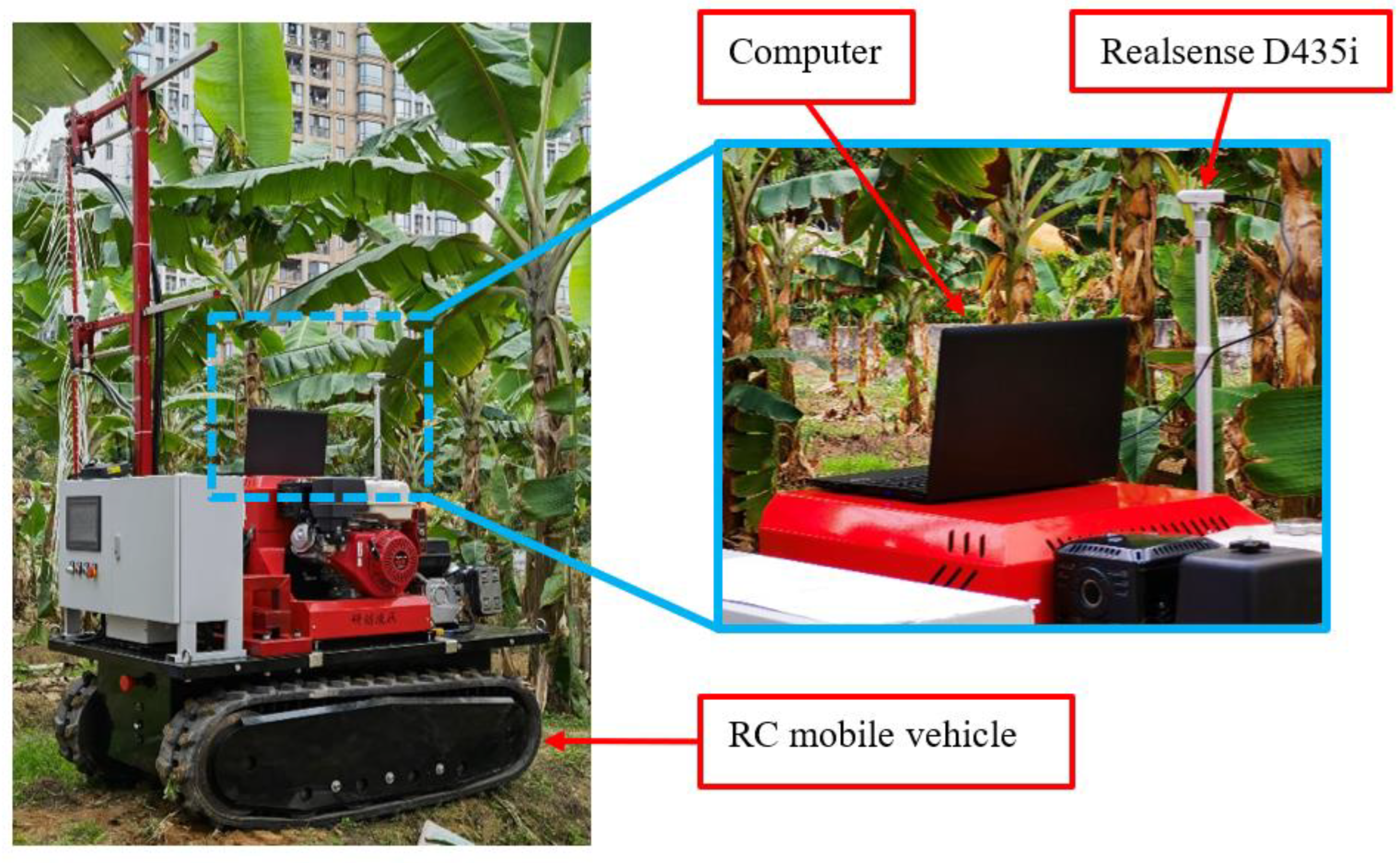 Agronomy 14 01123 g001