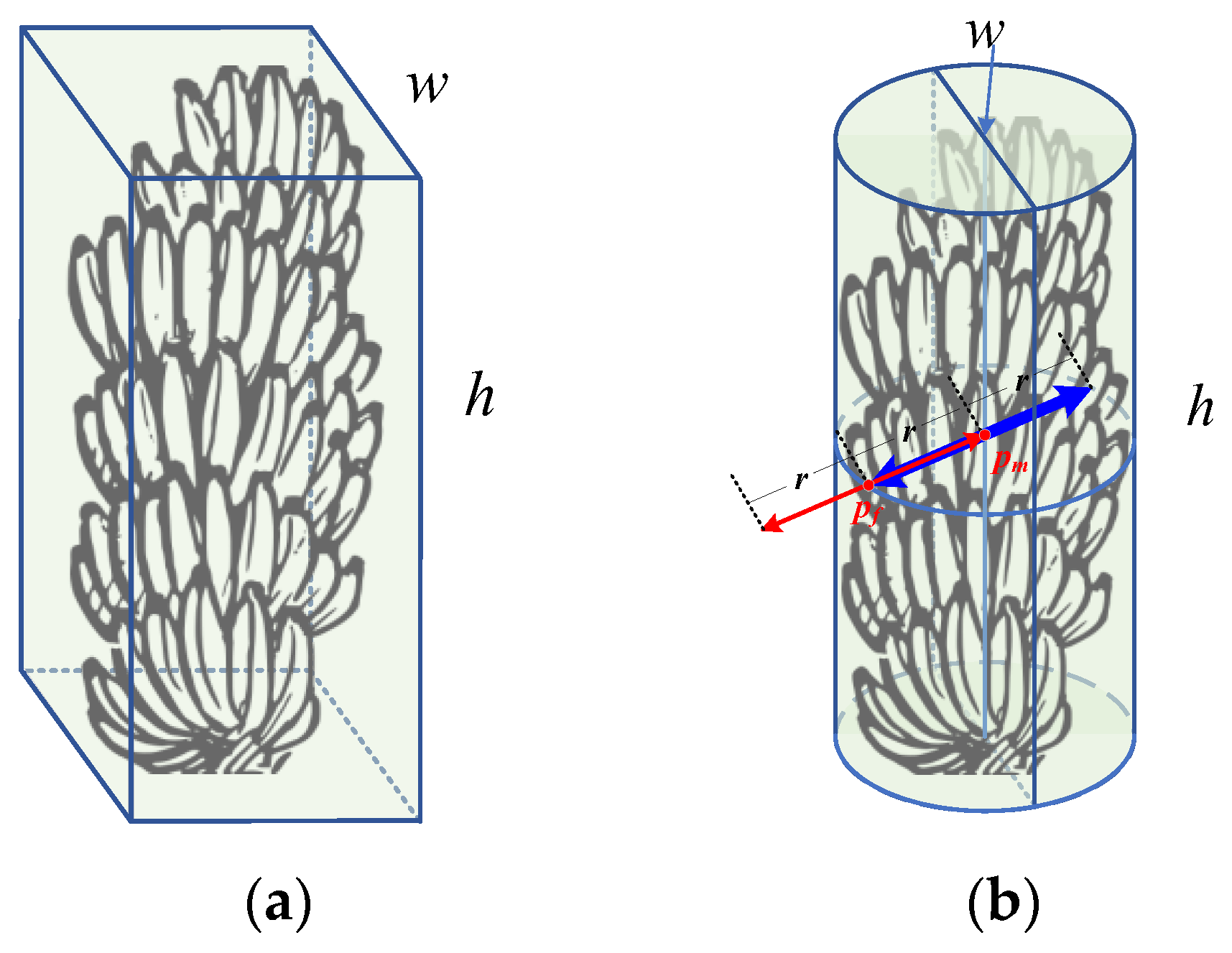 Agronomy 14 01123 g005