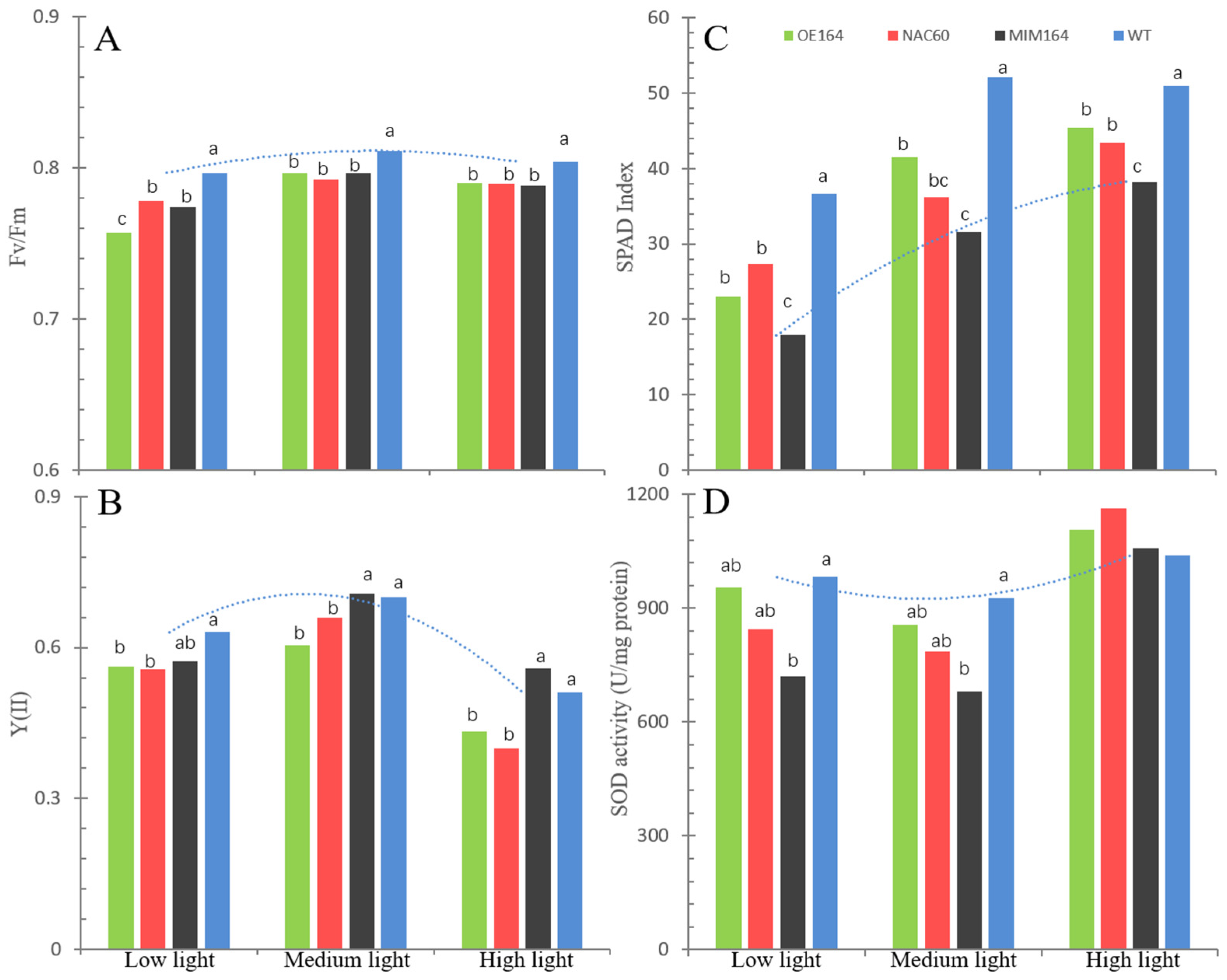 Agronomy 14 01142 g006