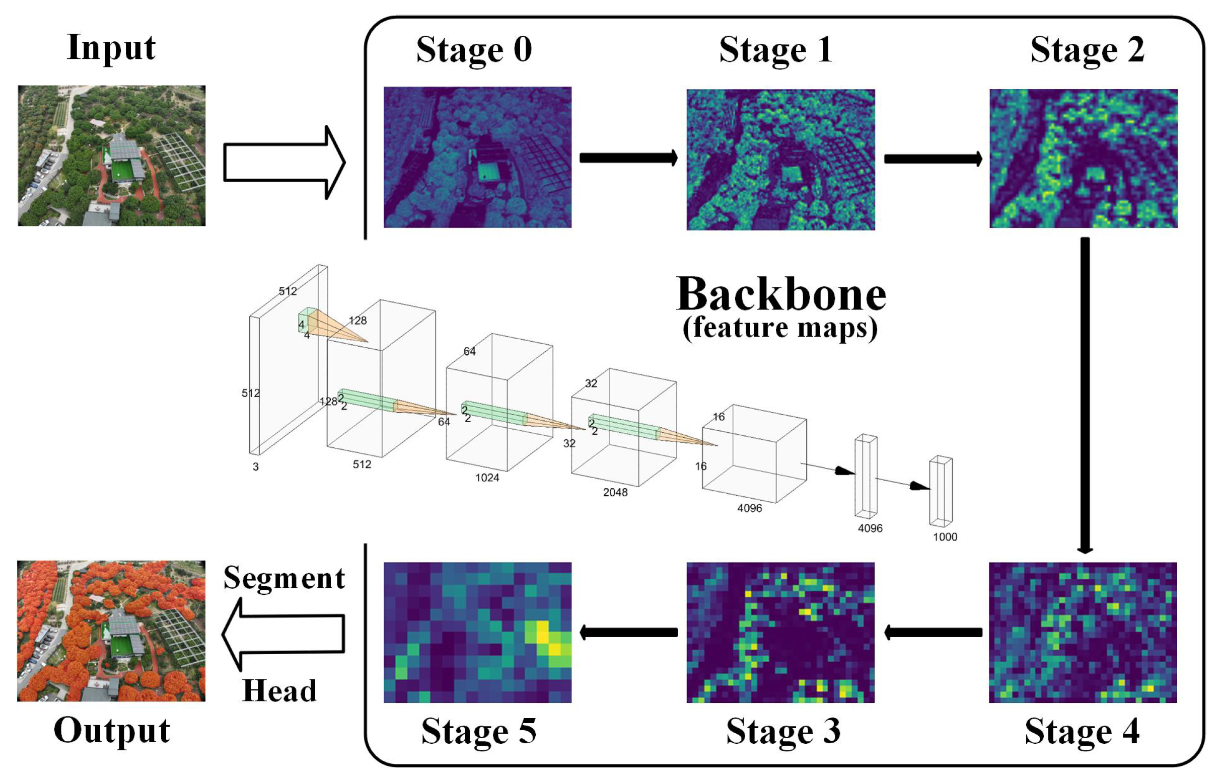Agronomy 14 01155 g003