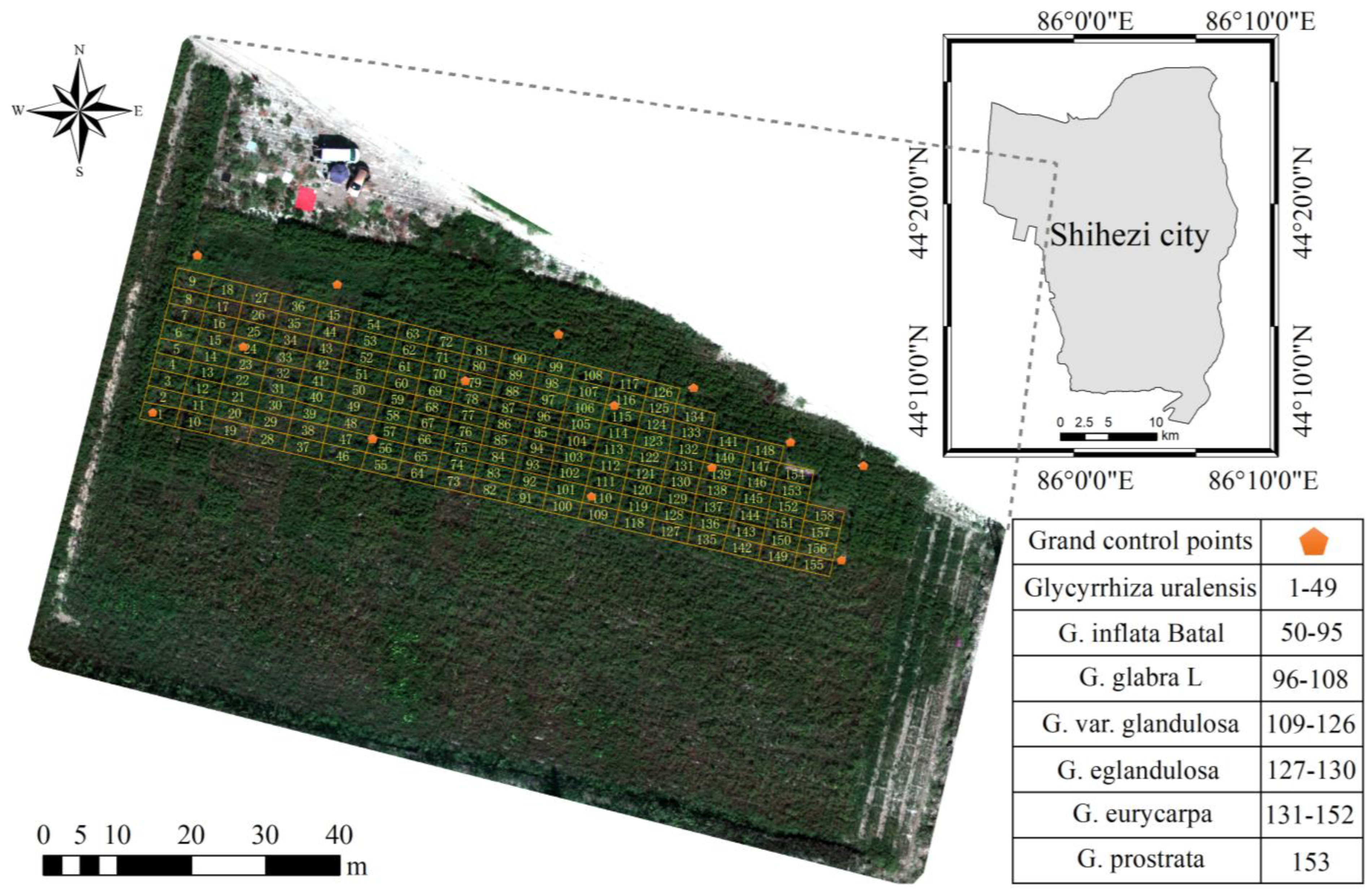Agronomy 14 01163 g001