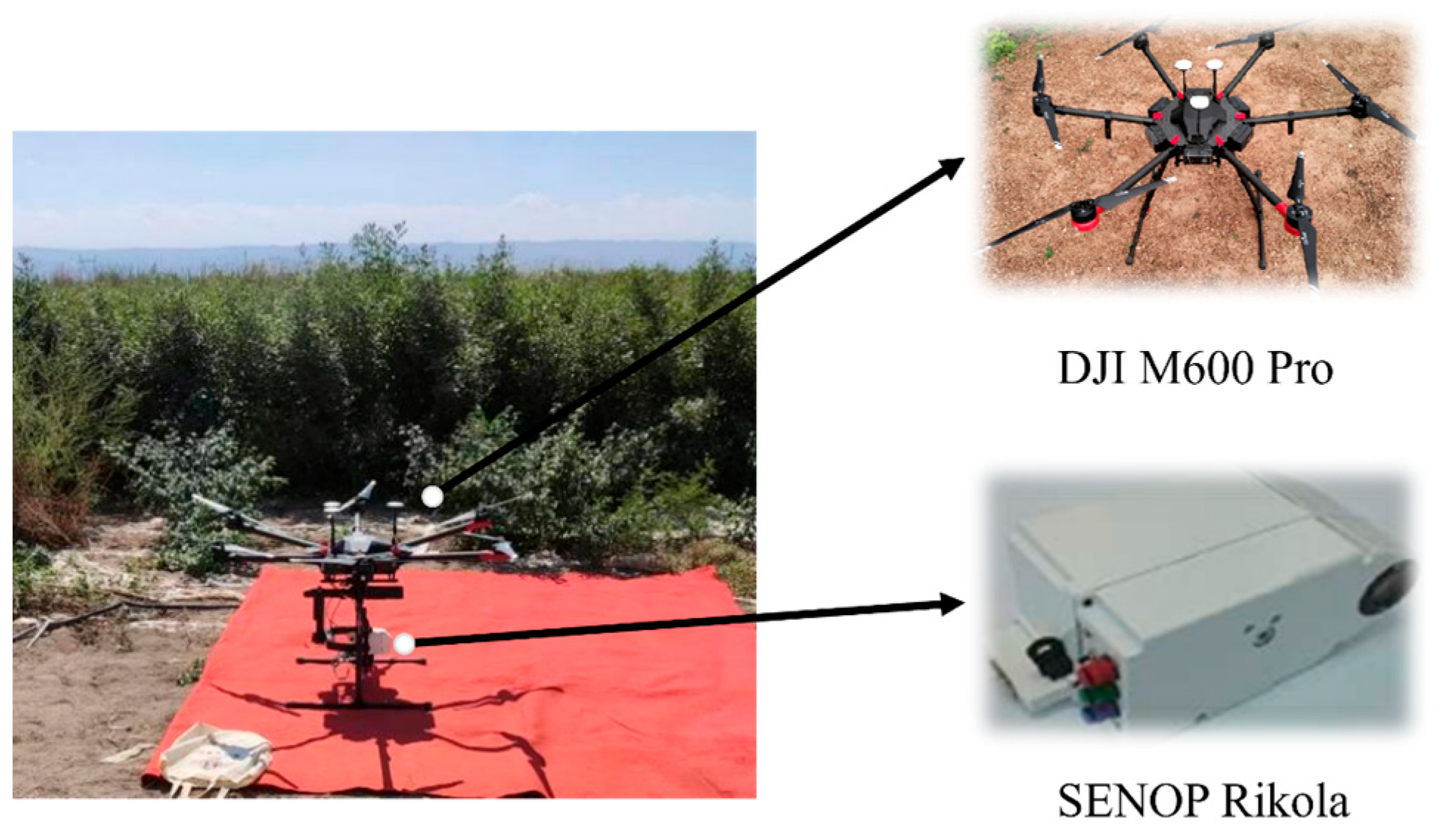 Agronomy 14 01163 g004