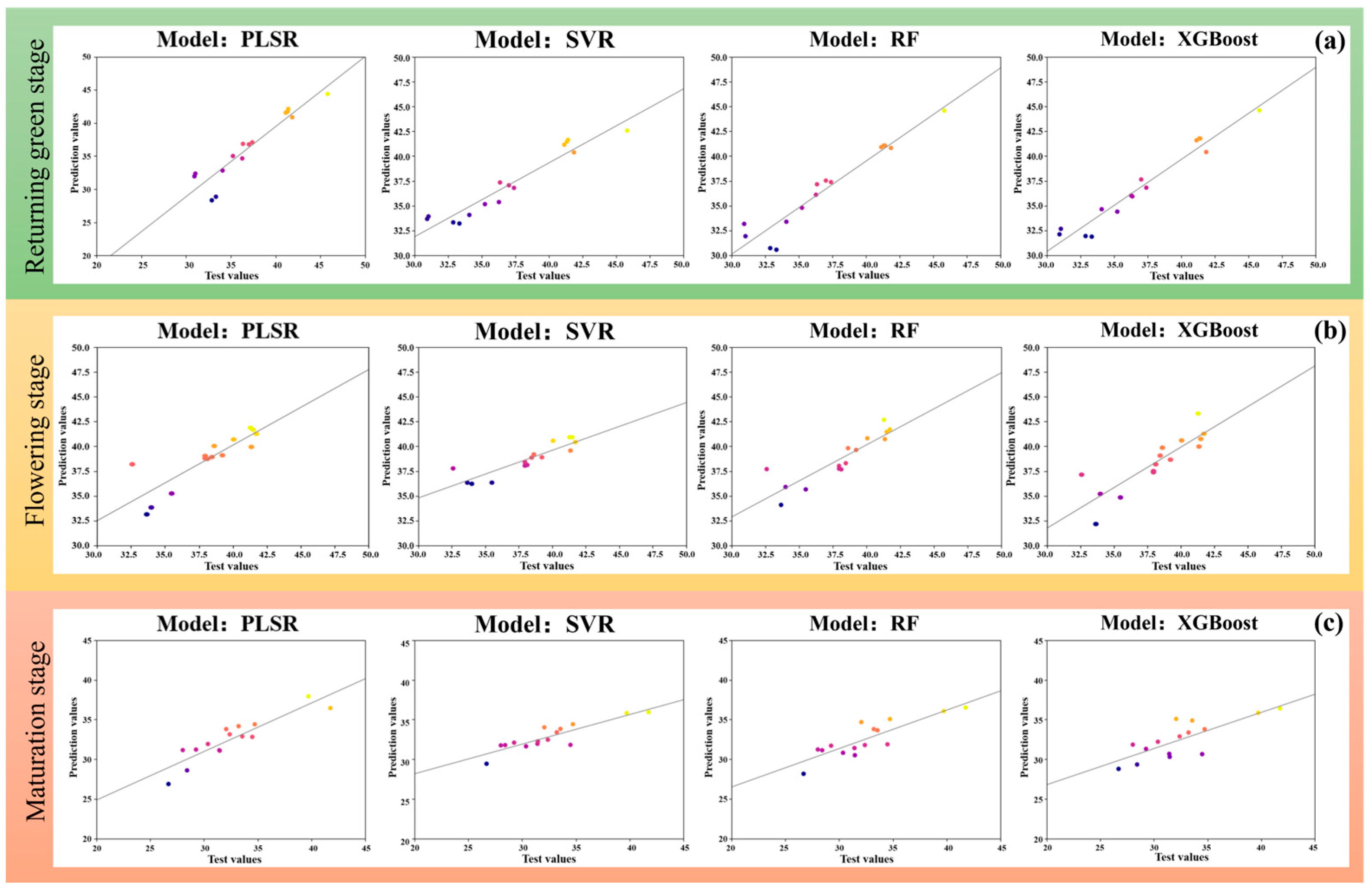 Agronomy 14 01163 g007
