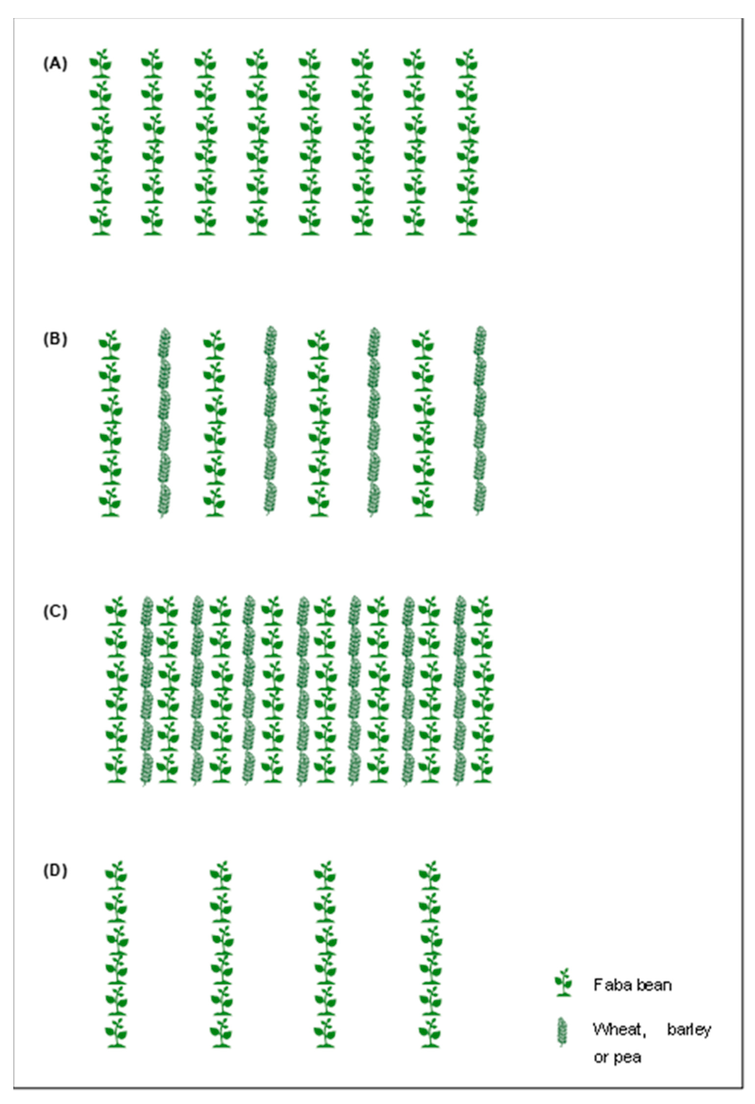 Agronomy 14 01170 g002