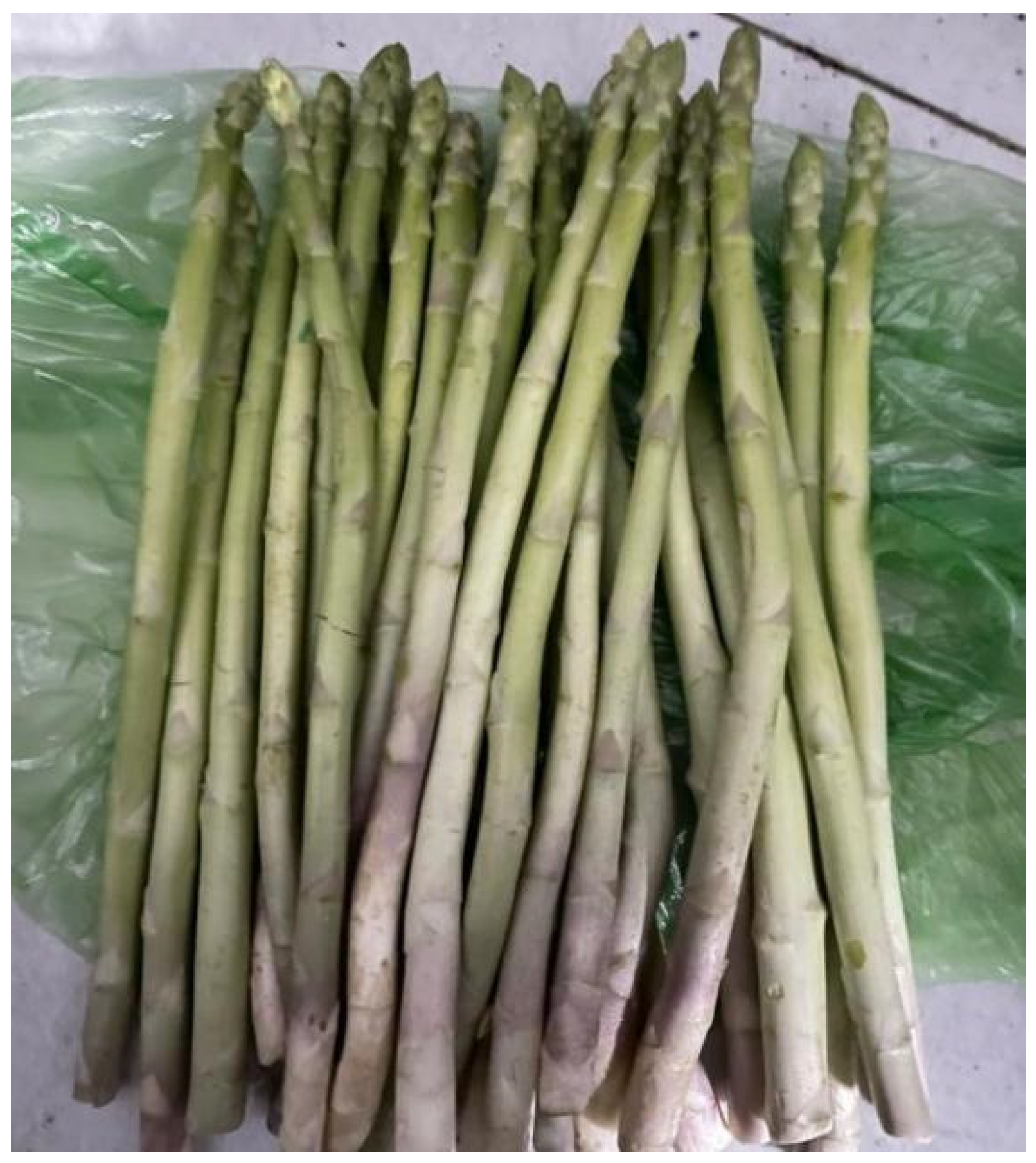 Agronomy 14 01175 g005