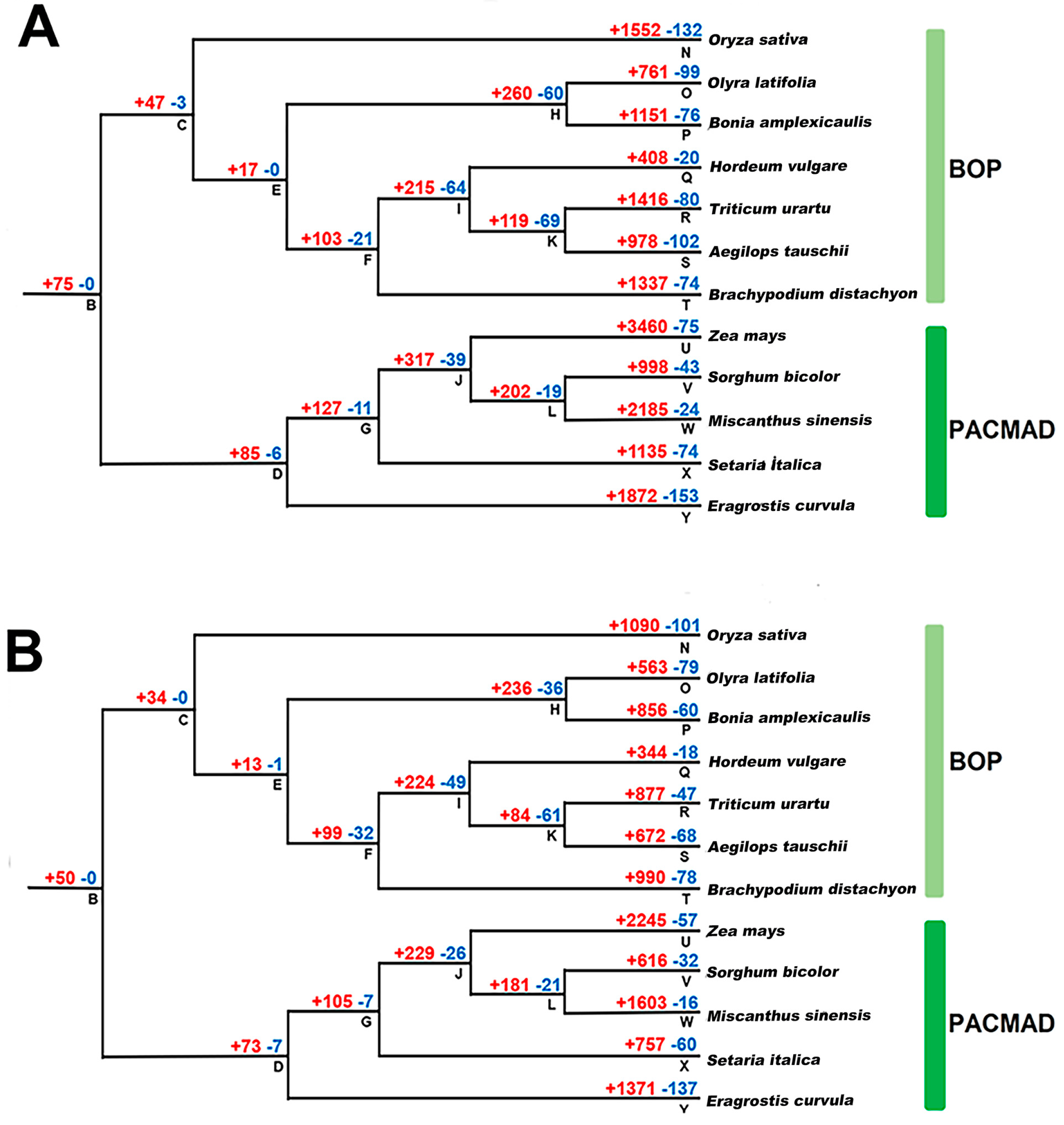 Agronomy 14 01177 g001