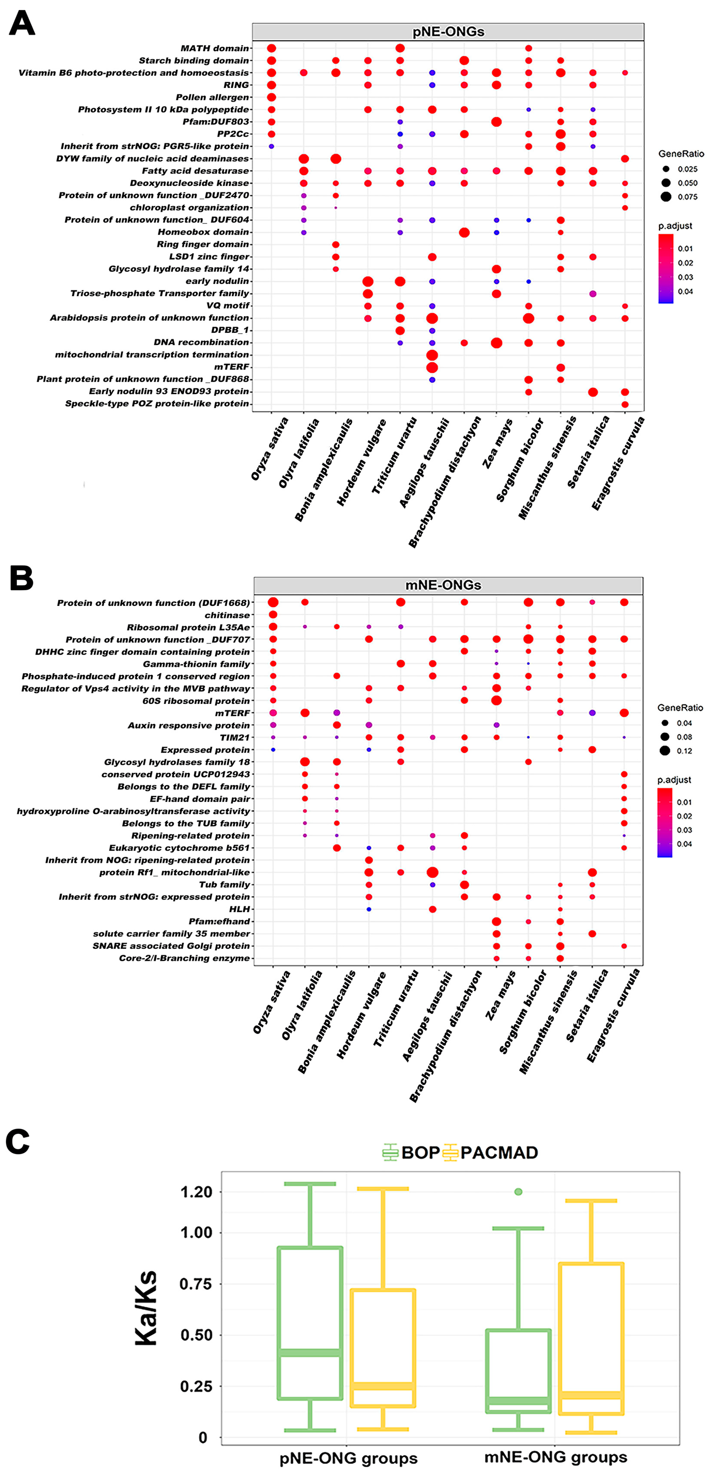 Agronomy 14 01177 g002