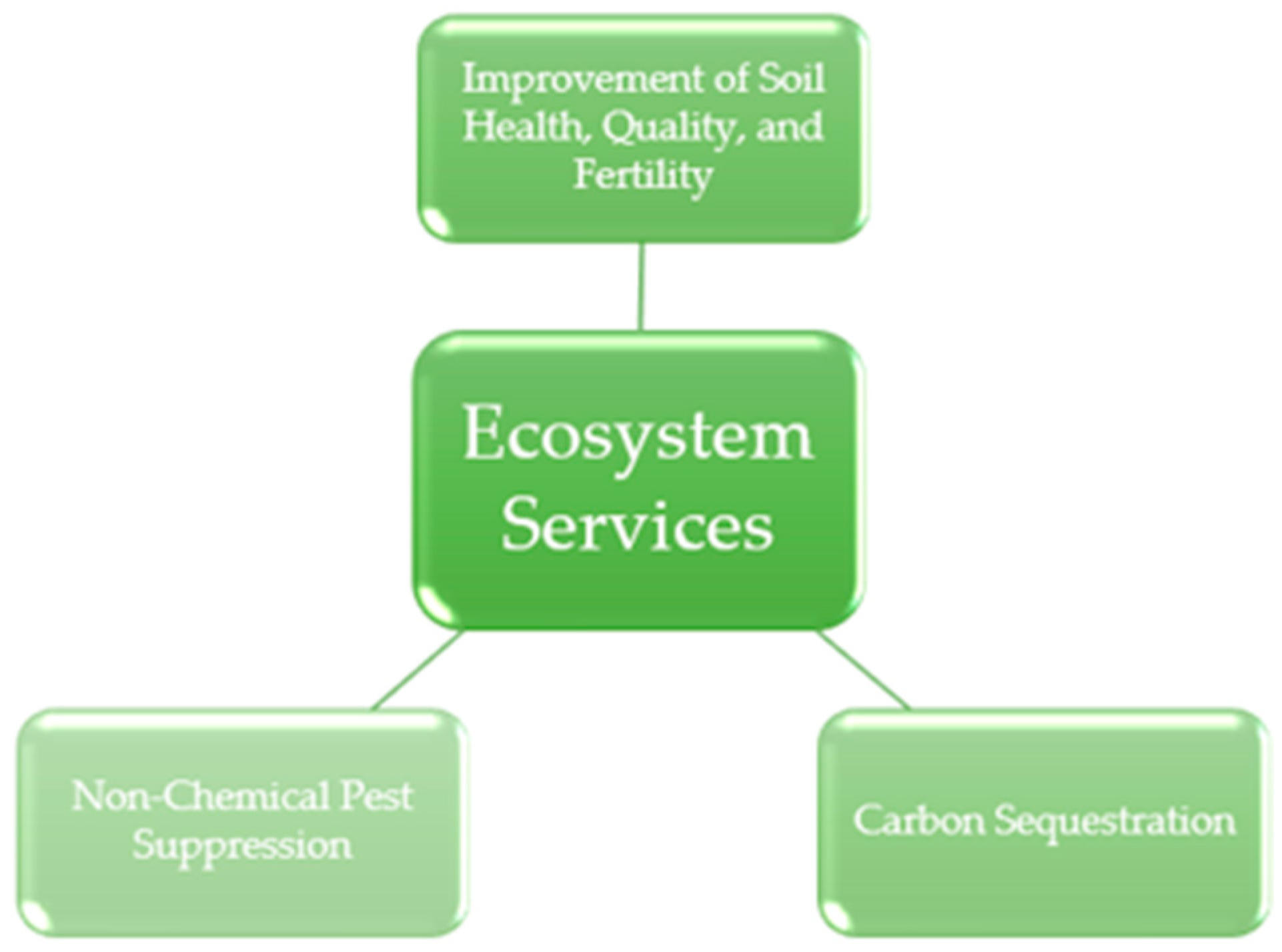 Agronomy 14 01192 g002