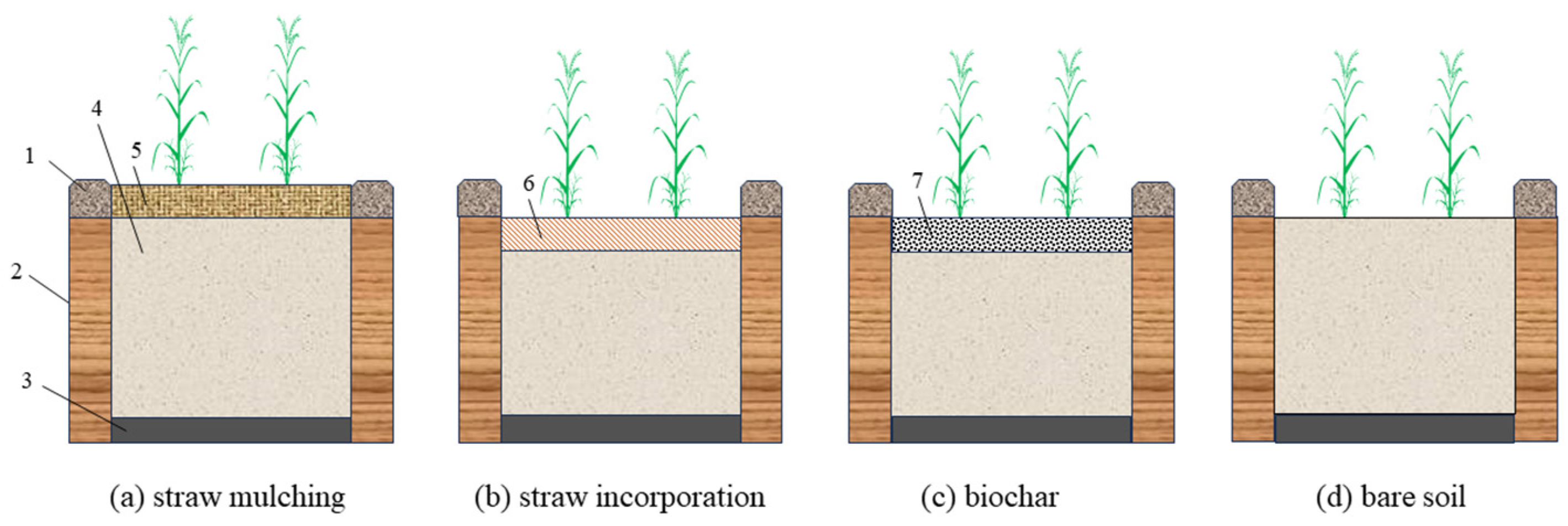 Agronomy 14 01196 g002