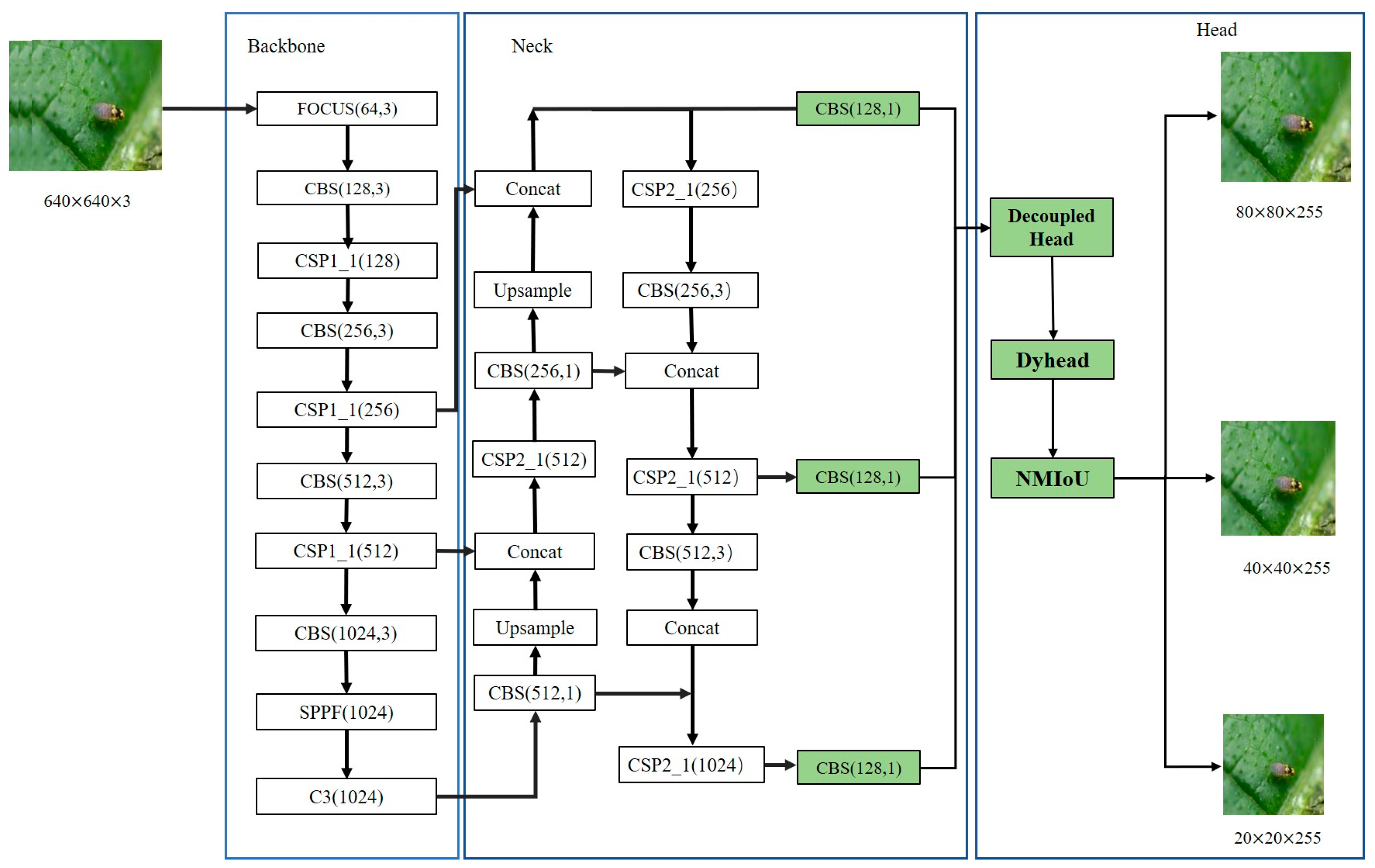 Agronomy 14 01197 g001