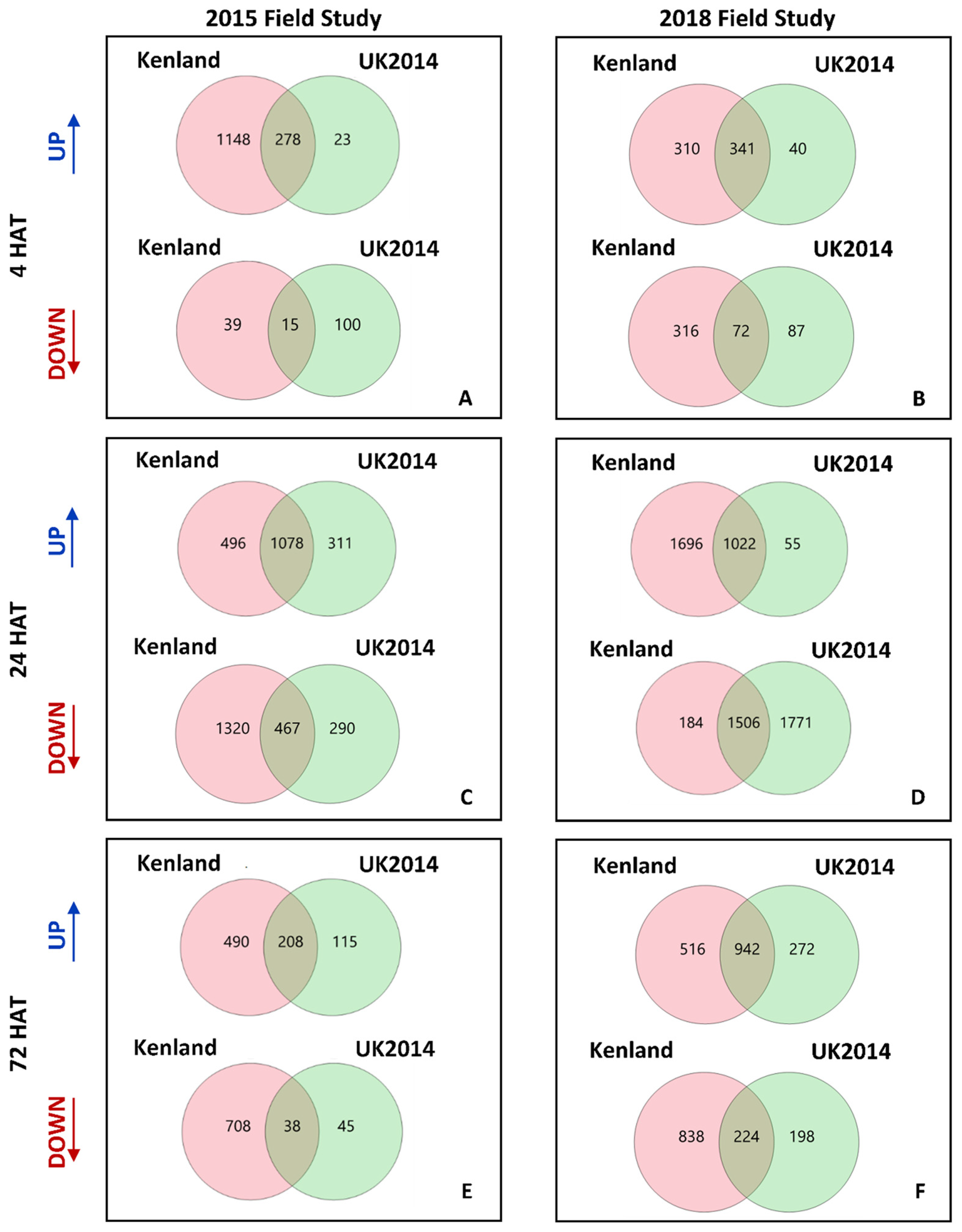 Agronomy 14 01198 g001
